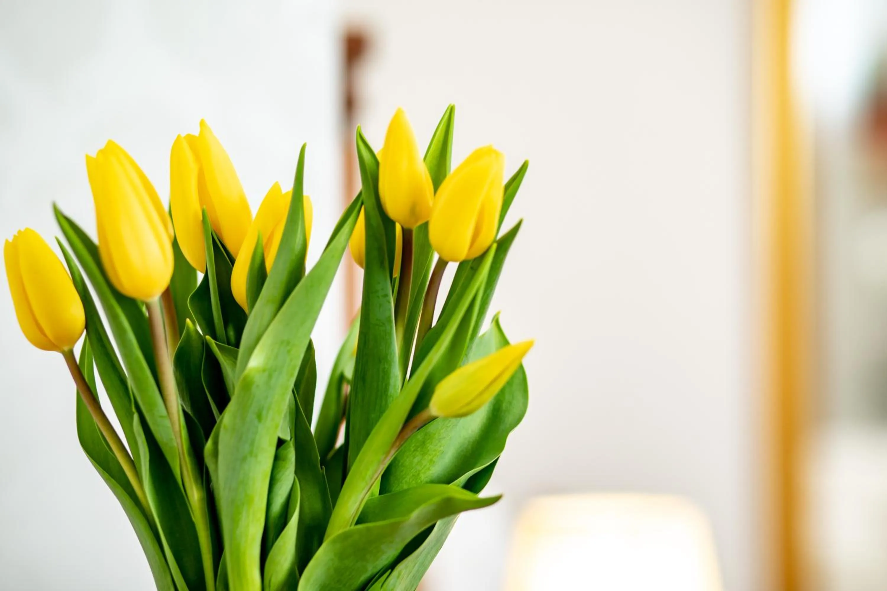 Decorative detail in Hotel Le Premier