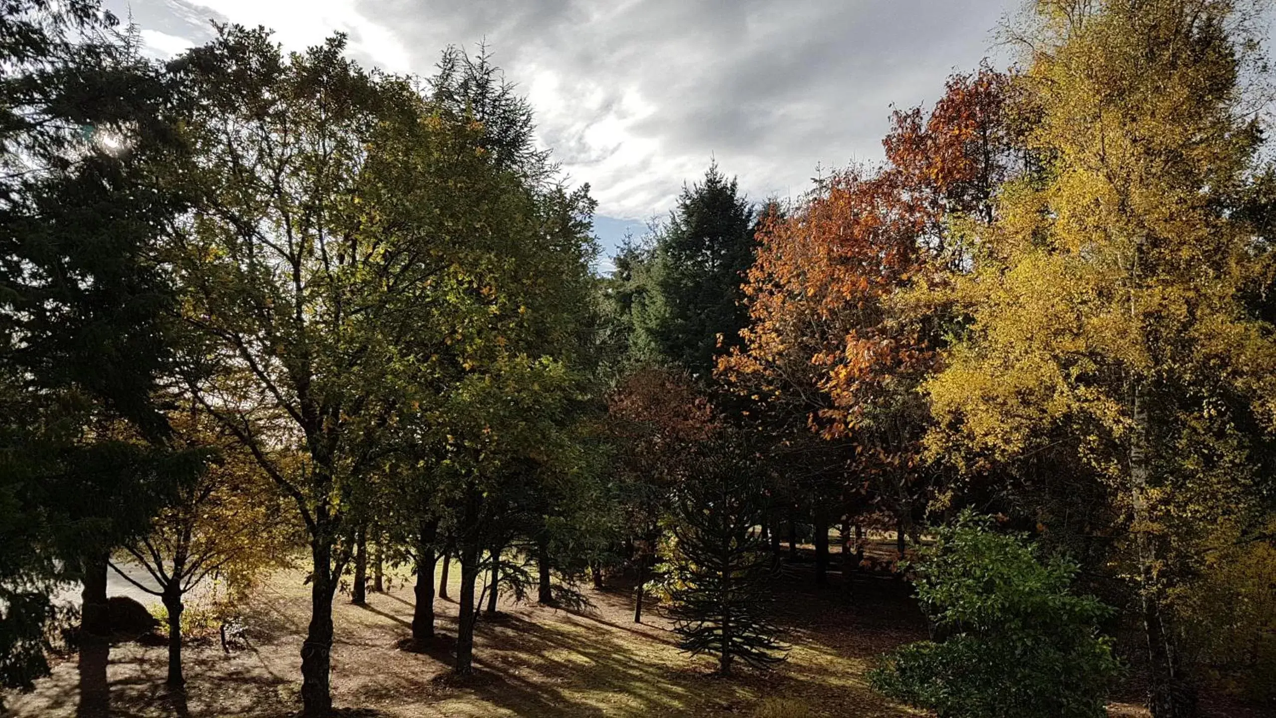 Natural landscape in Le Clos des Écureuils