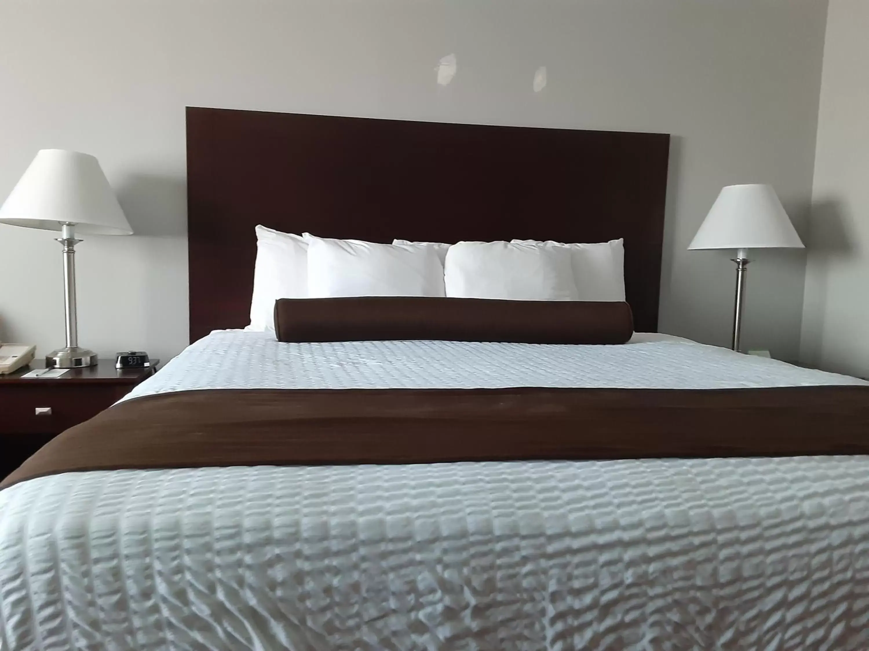 Bed in Boarders Inn & Suites by Cobblestone Hotels - Superior/Duluth