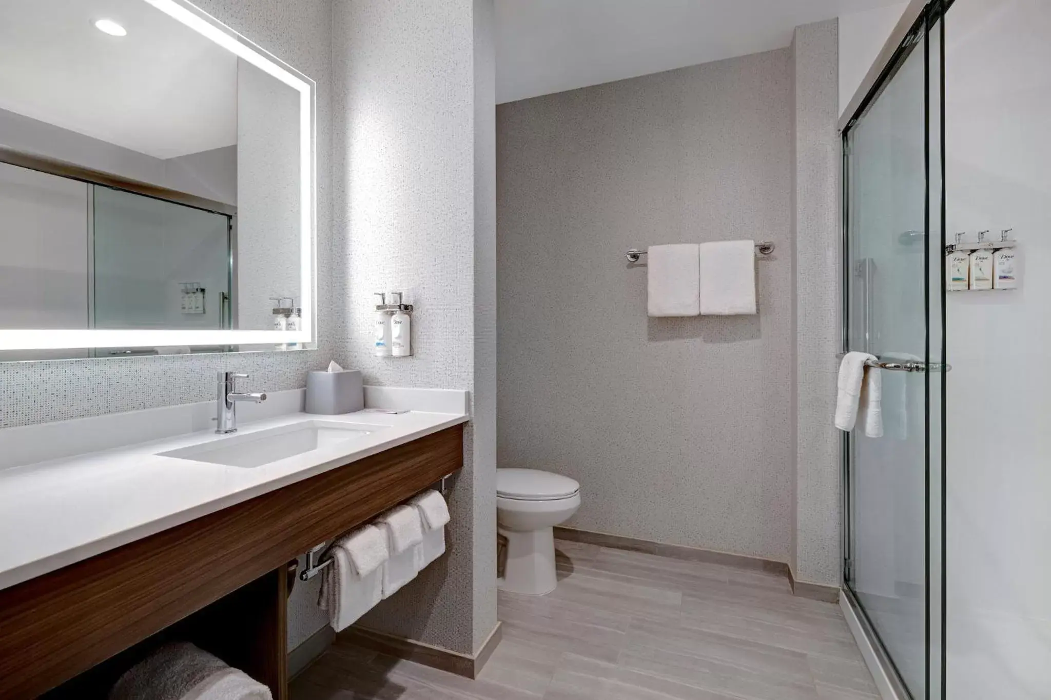 Bathroom in Holiday Inn Express & Suites - Glendale Downtown