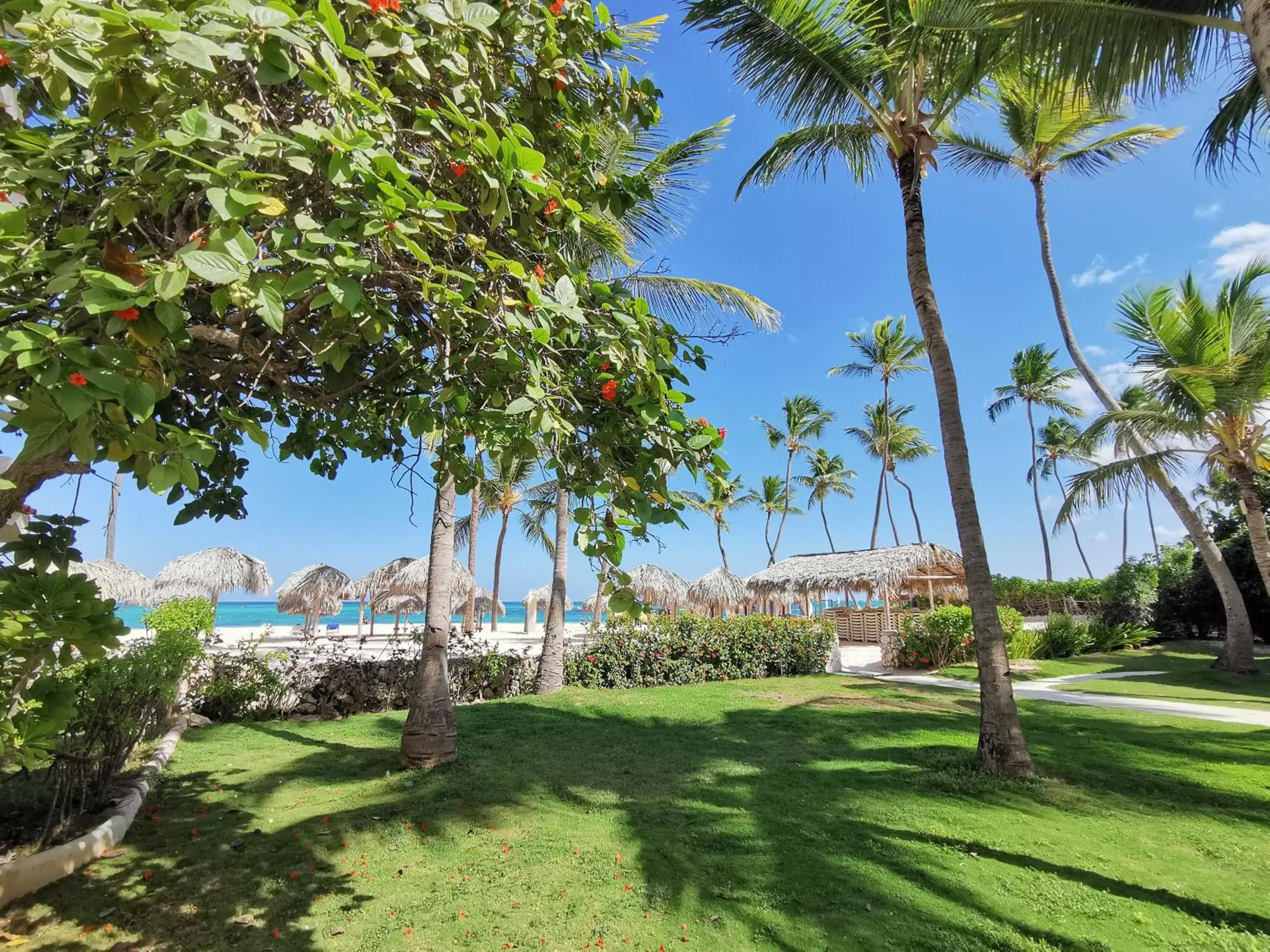 Beach, Garden in Villas Tropical Los Corales Beach & Spa