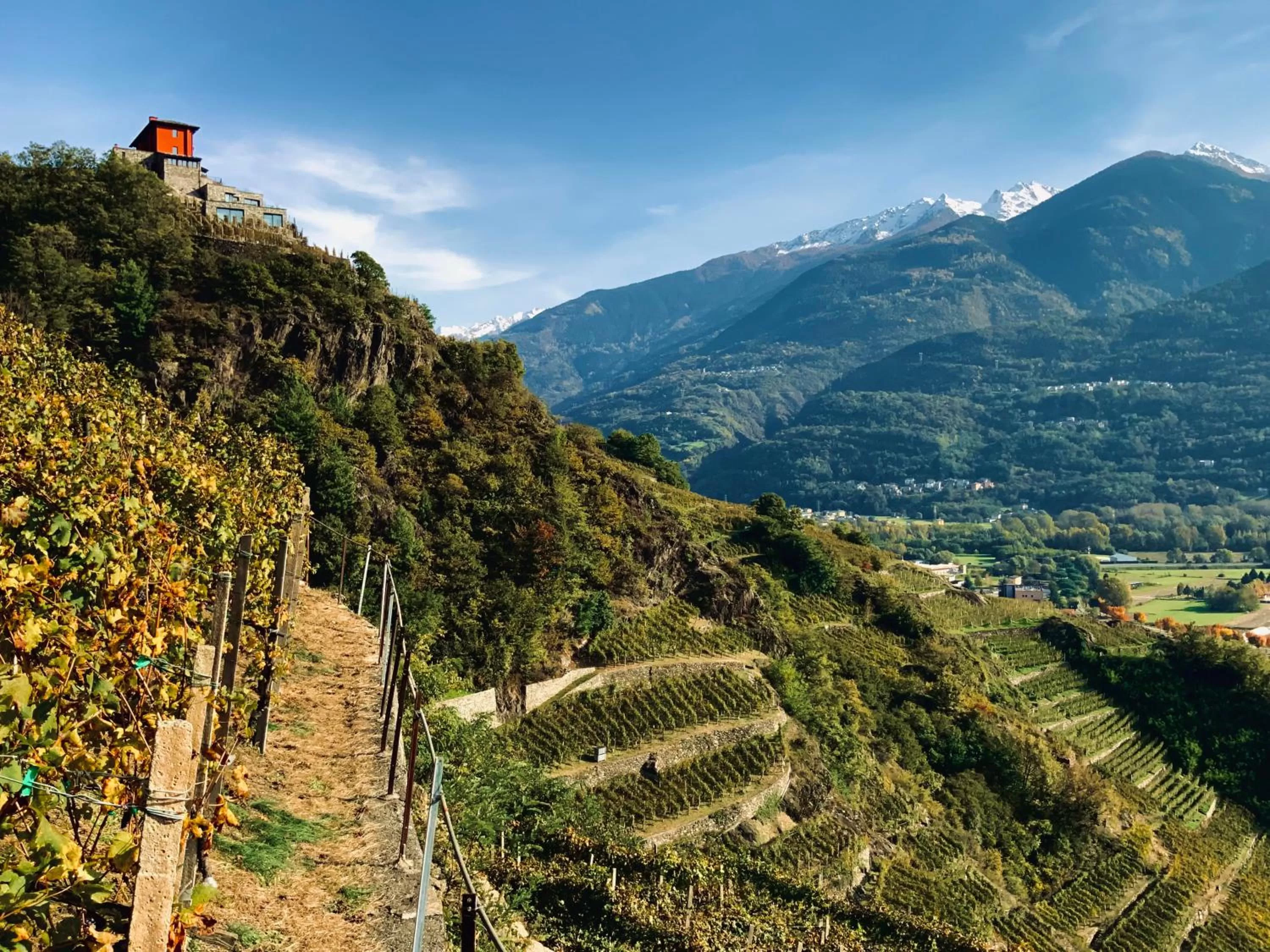 Day in Cà Rossa #panoramic suite