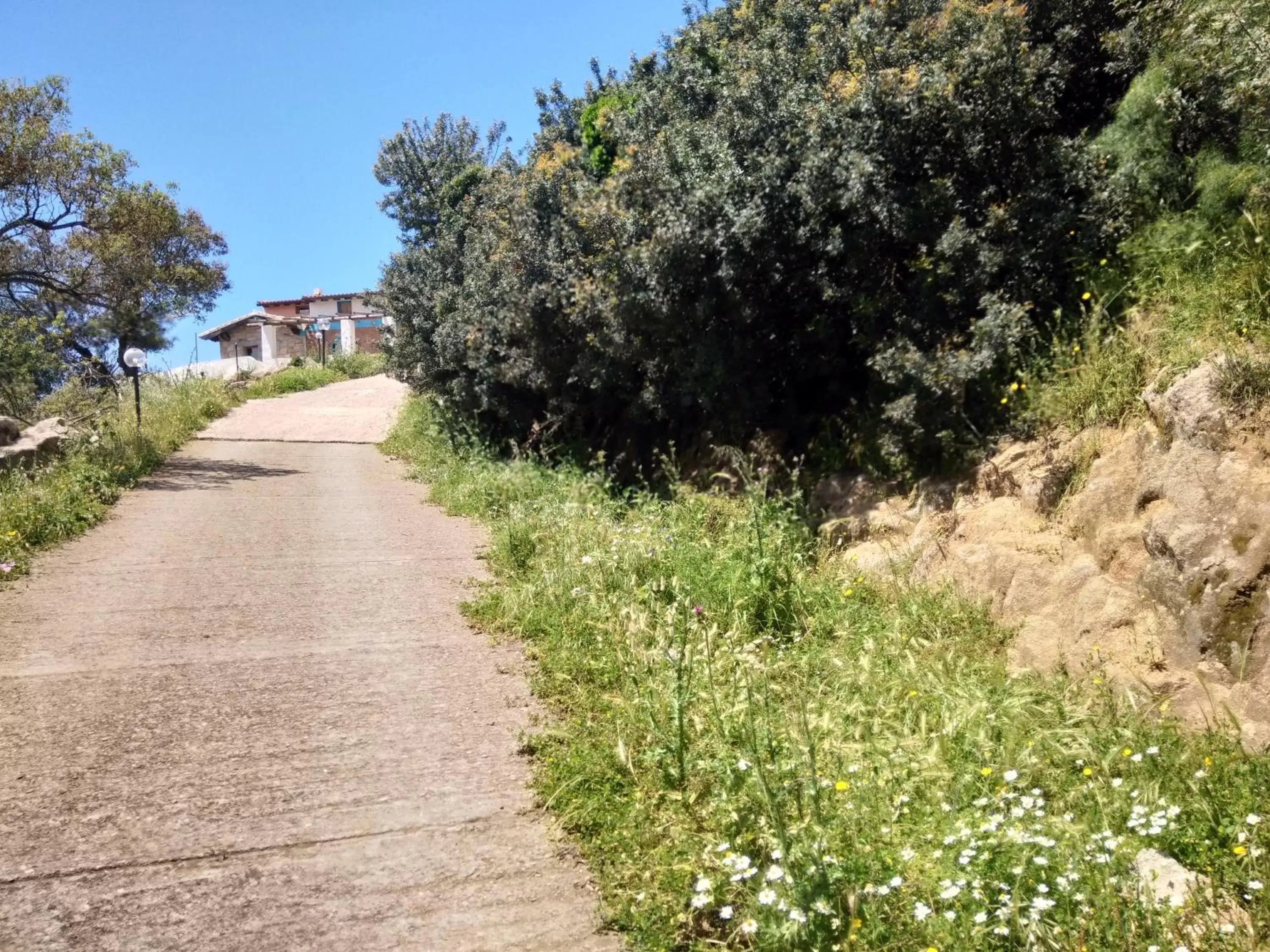 Natural landscape in B&B Il Nuraghe