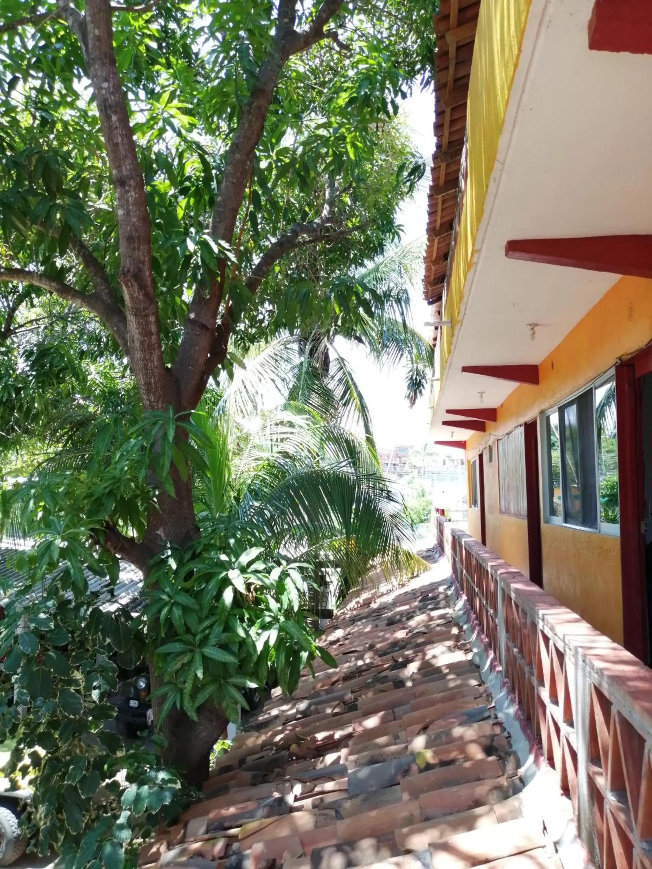Balcony/Terrace in Hotel Cabañas Pepe