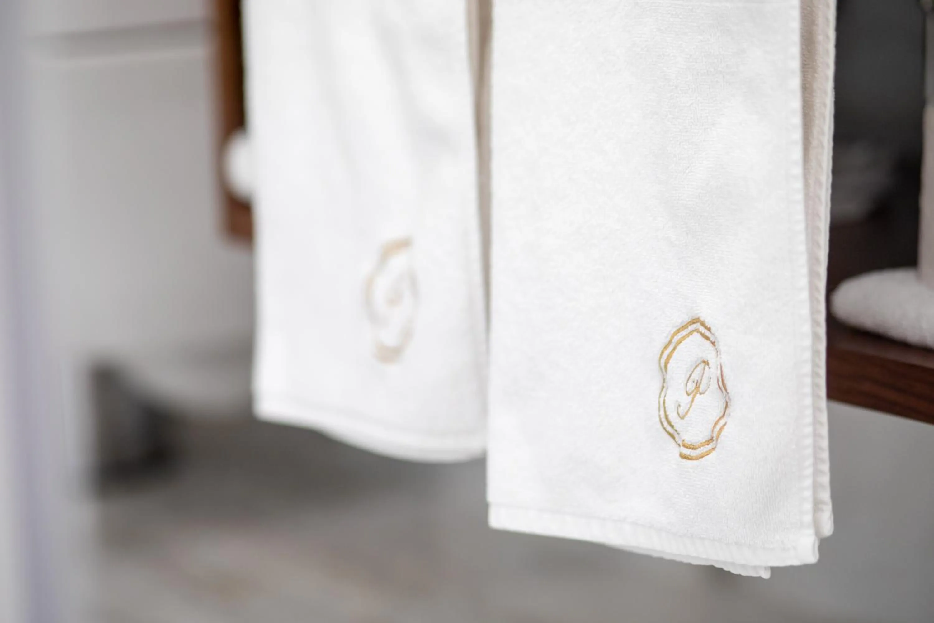 Property logo or sign in Hotel Le Premier