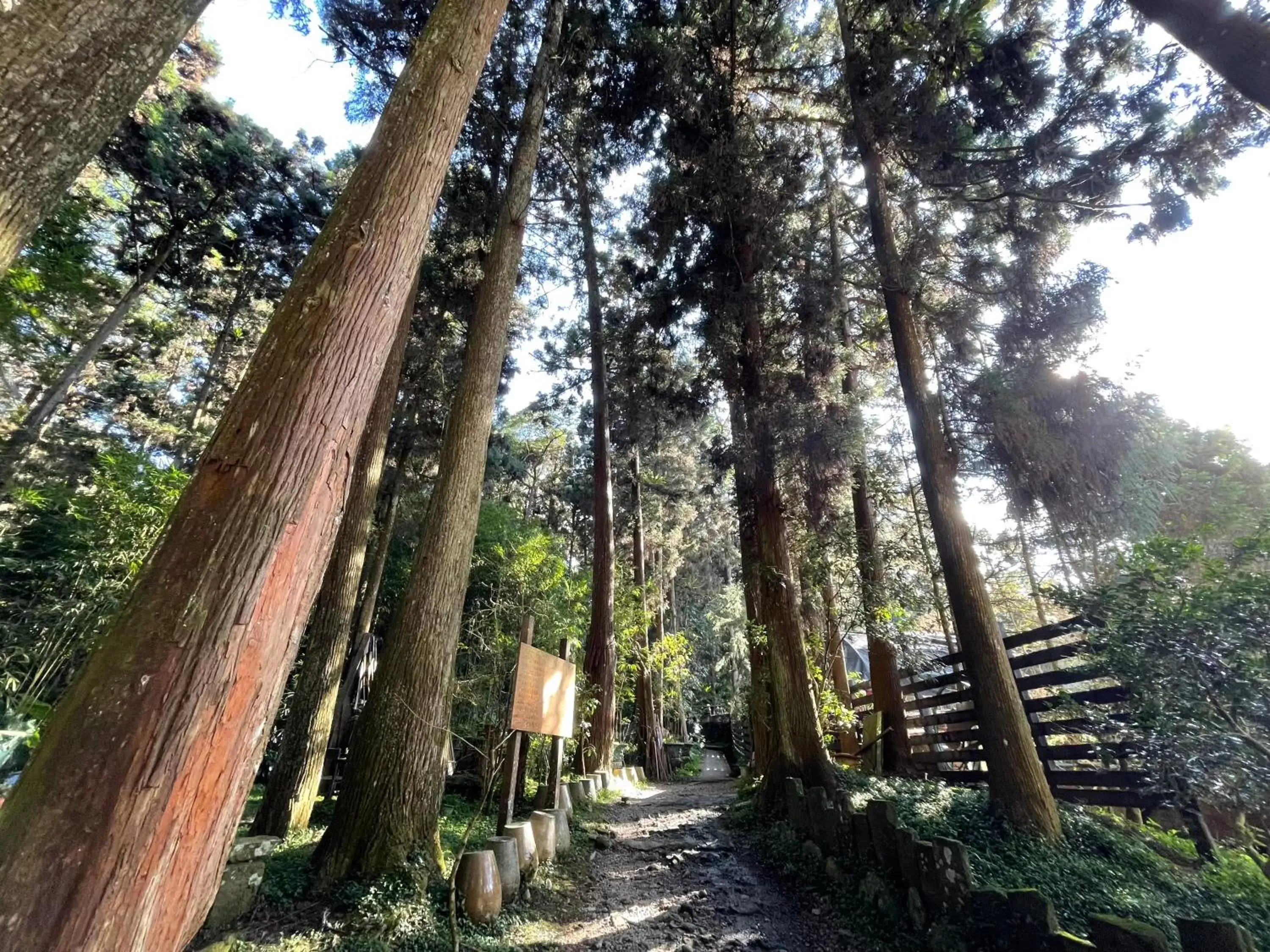 Natural landscape in Ginkgo Hotel