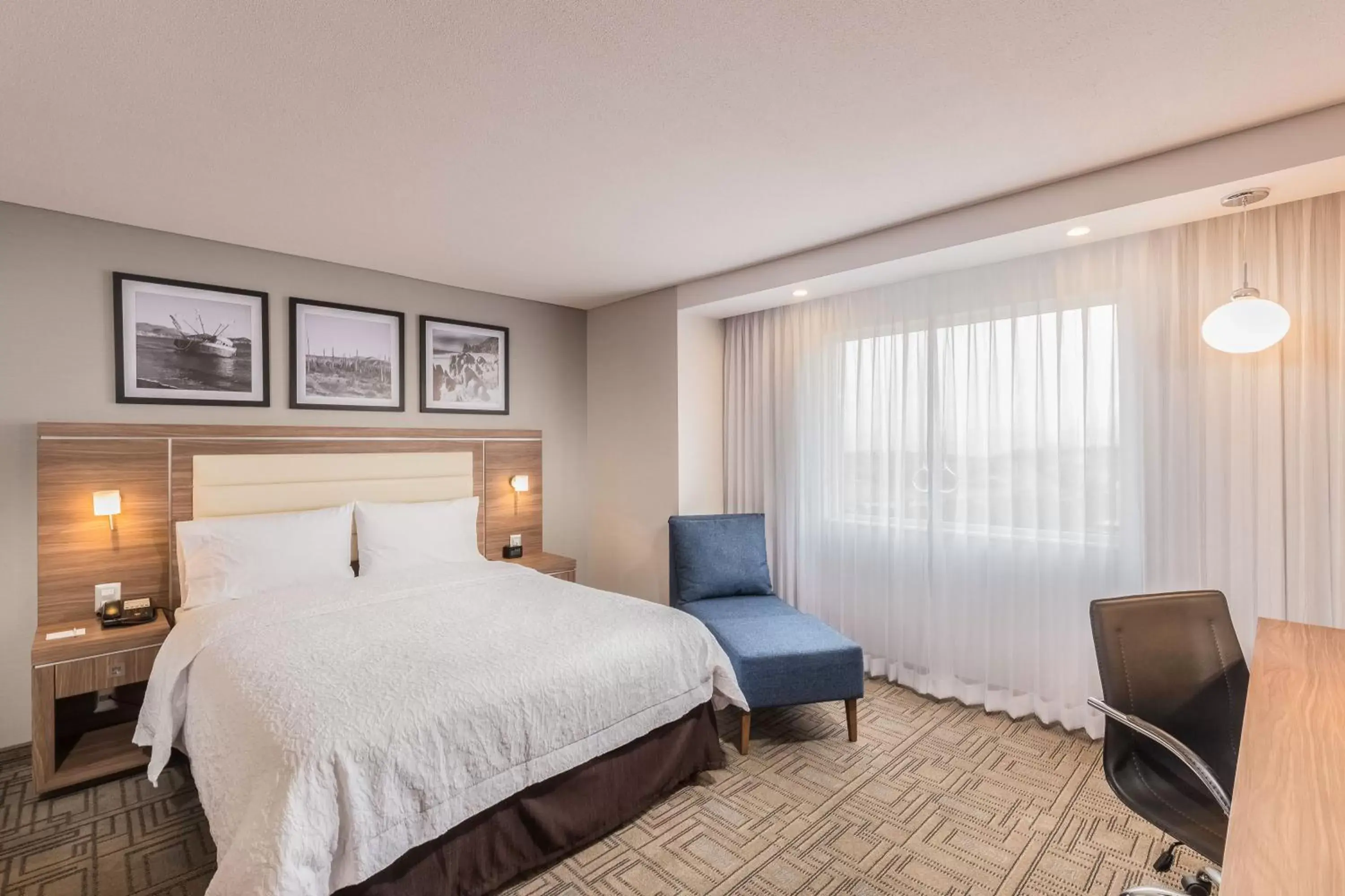 Seating area, Bed in Hampton Inn By Hilton Tijuana