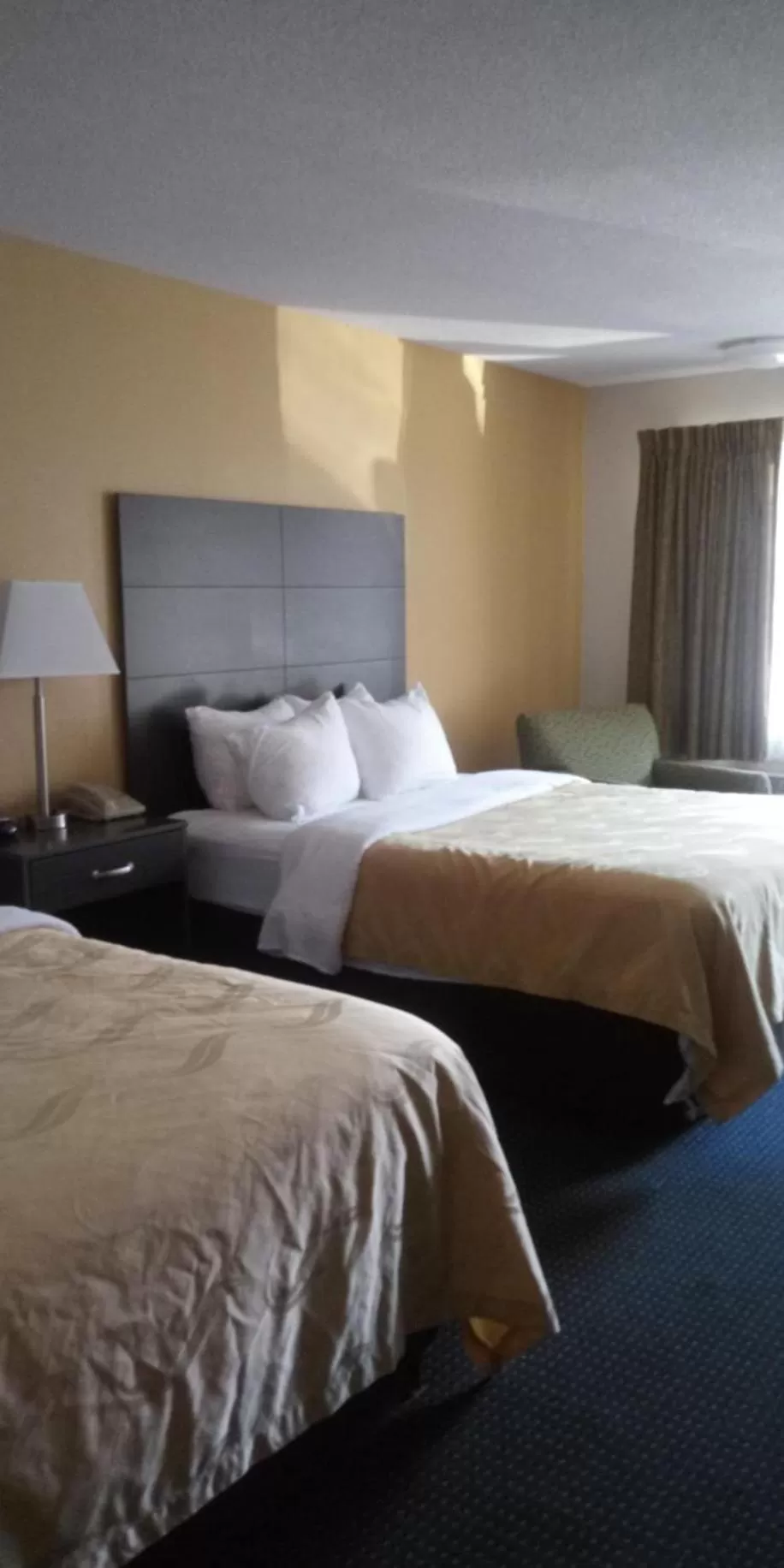 Standard Queen Room with Two Queen Beds - Non Smoking  in Quality Inn Little Creek