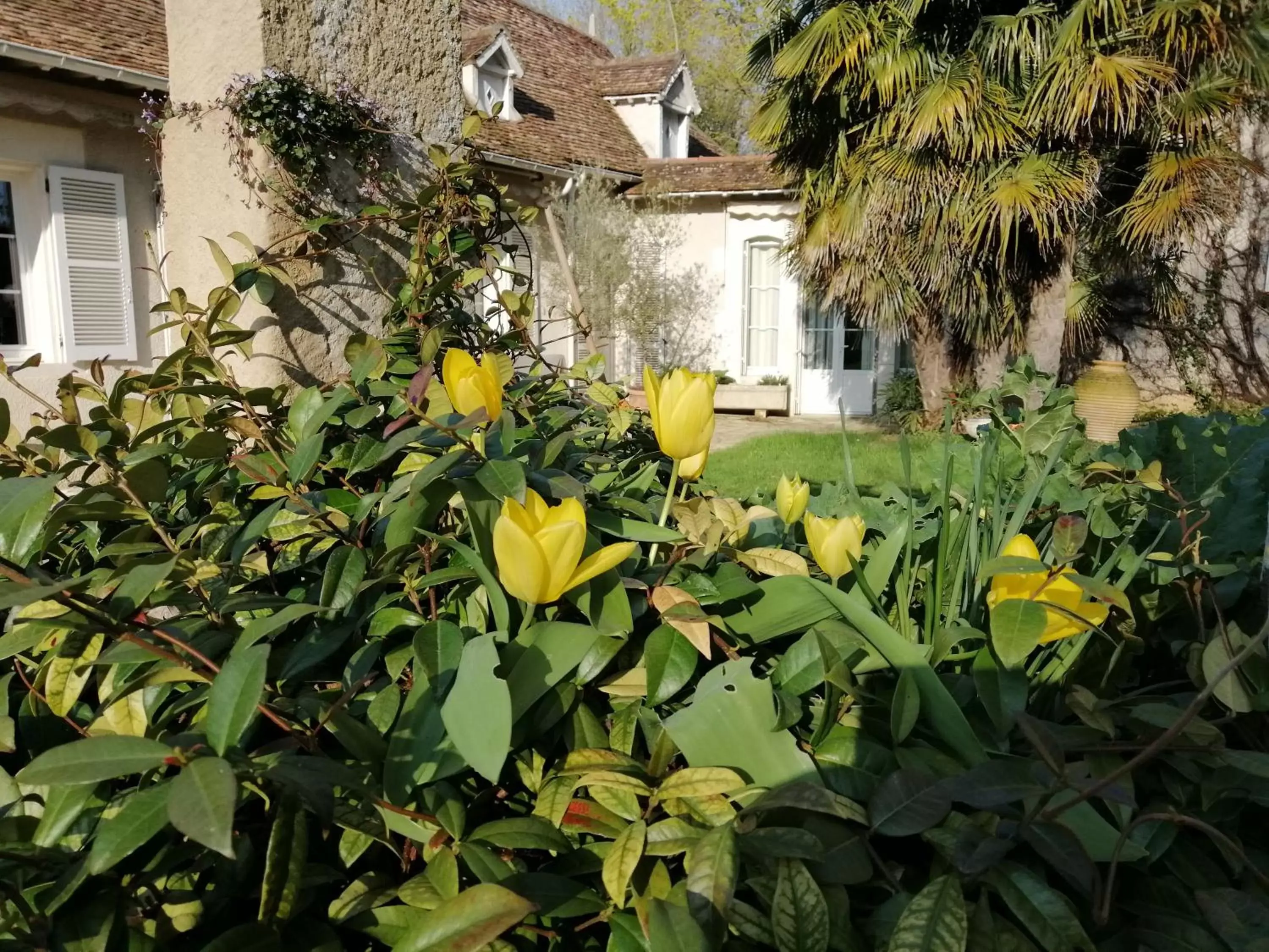Garden view, Garden in Chambres et Tables d'hôtes du Puits d'Athie
