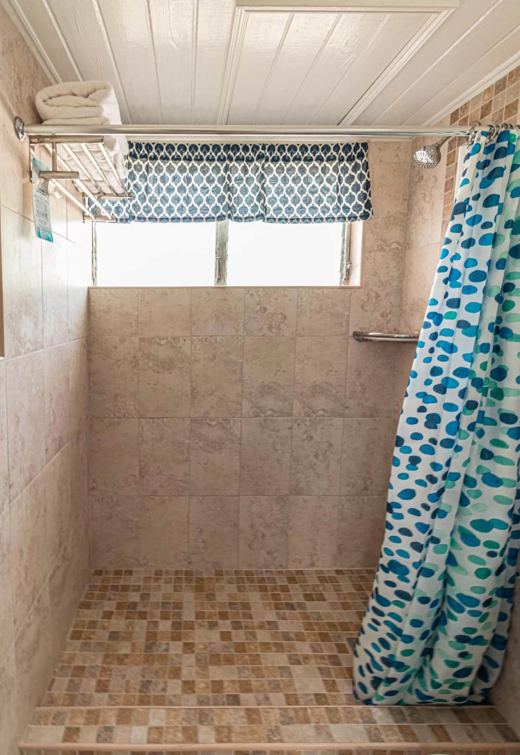 Shower in Worthing Court Apartment Hotel