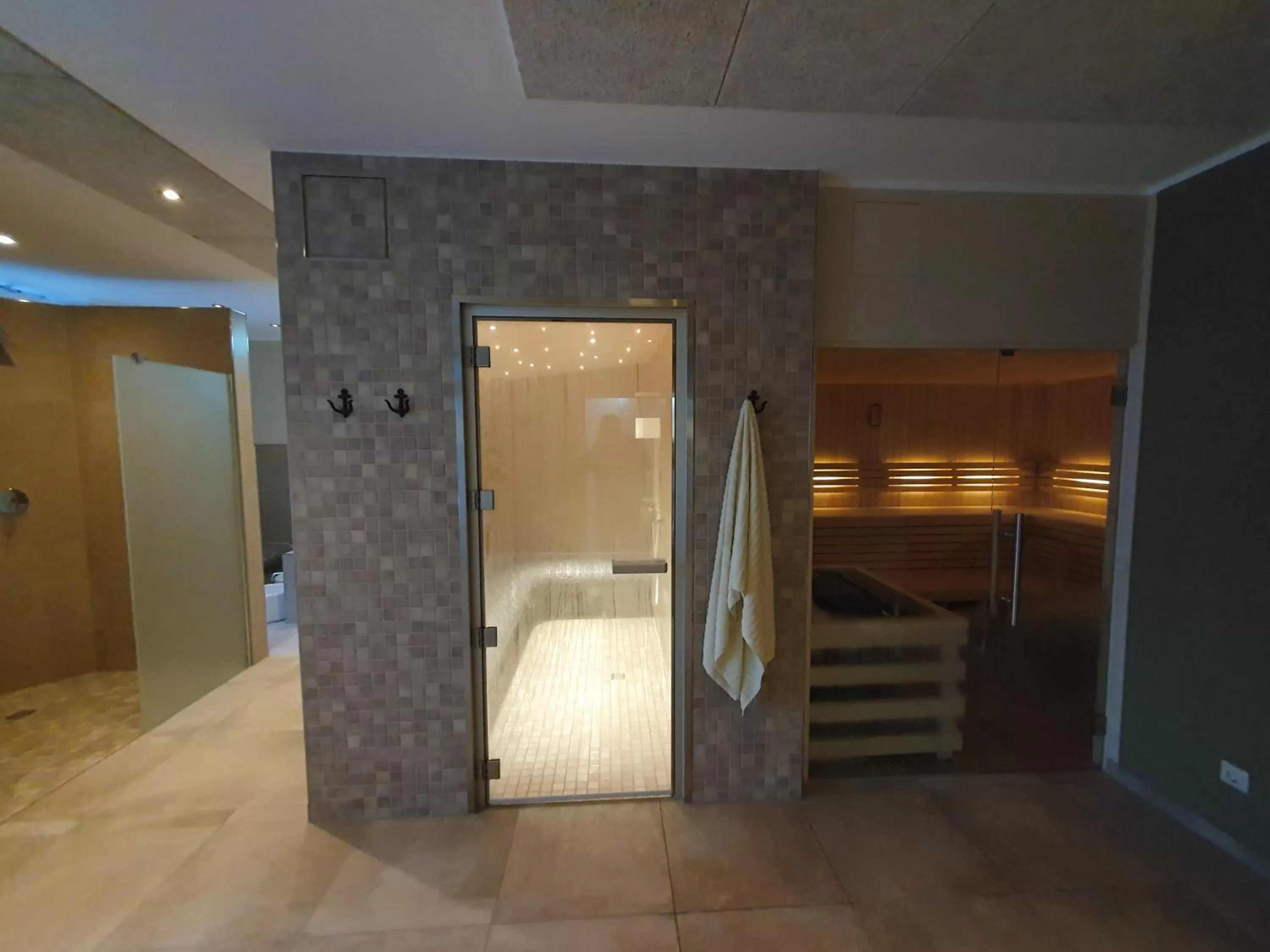 Steam room in Hotel Friesische Wehde