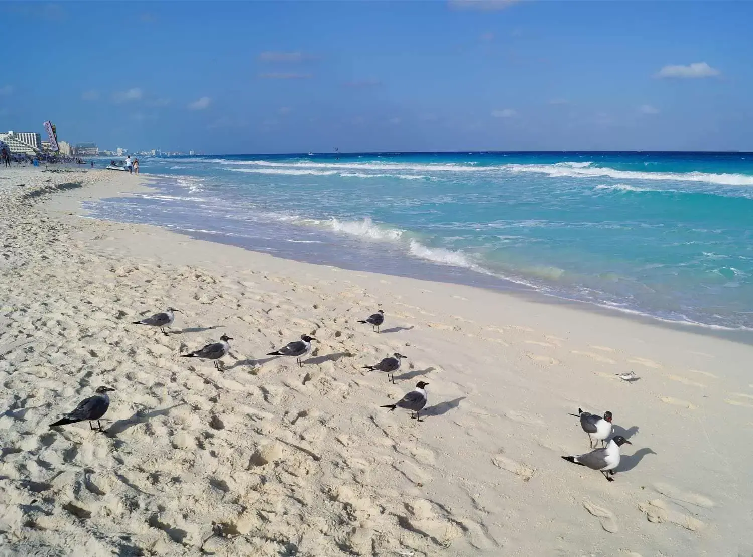 Beach in Apartment Ocean Front Cancun