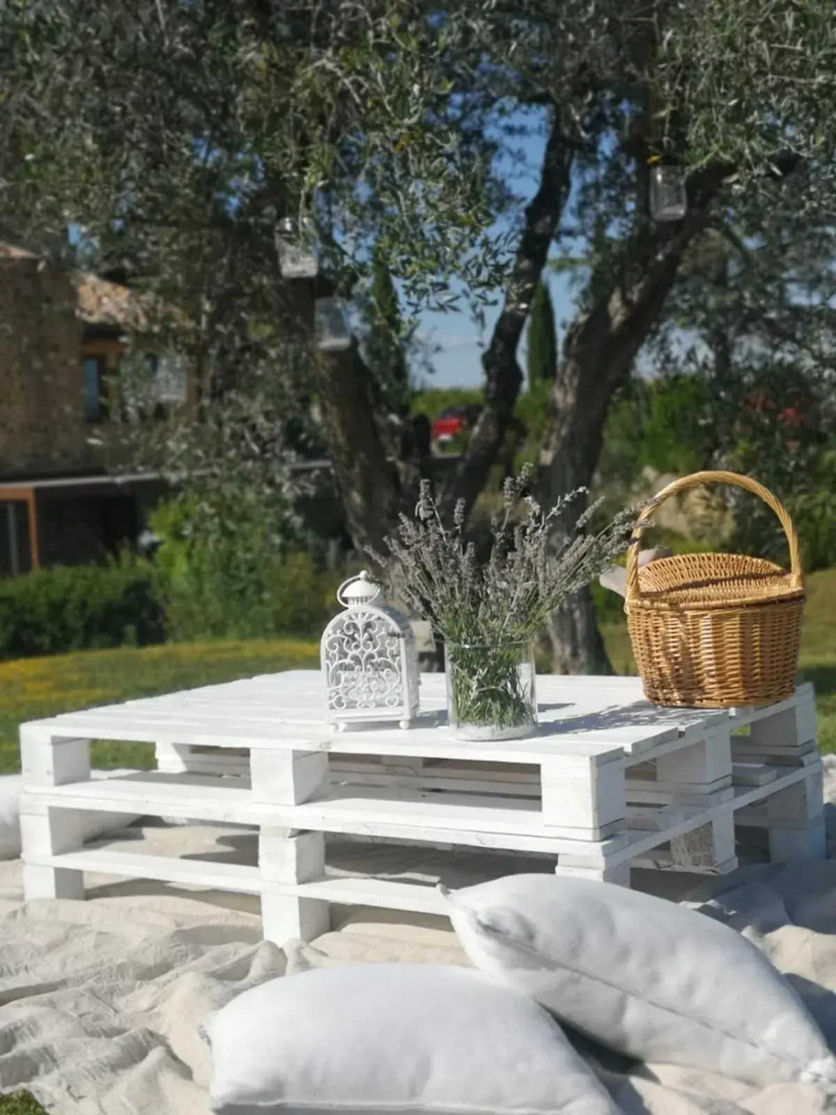 Garden in Hotel Borgo Di Cortefreda