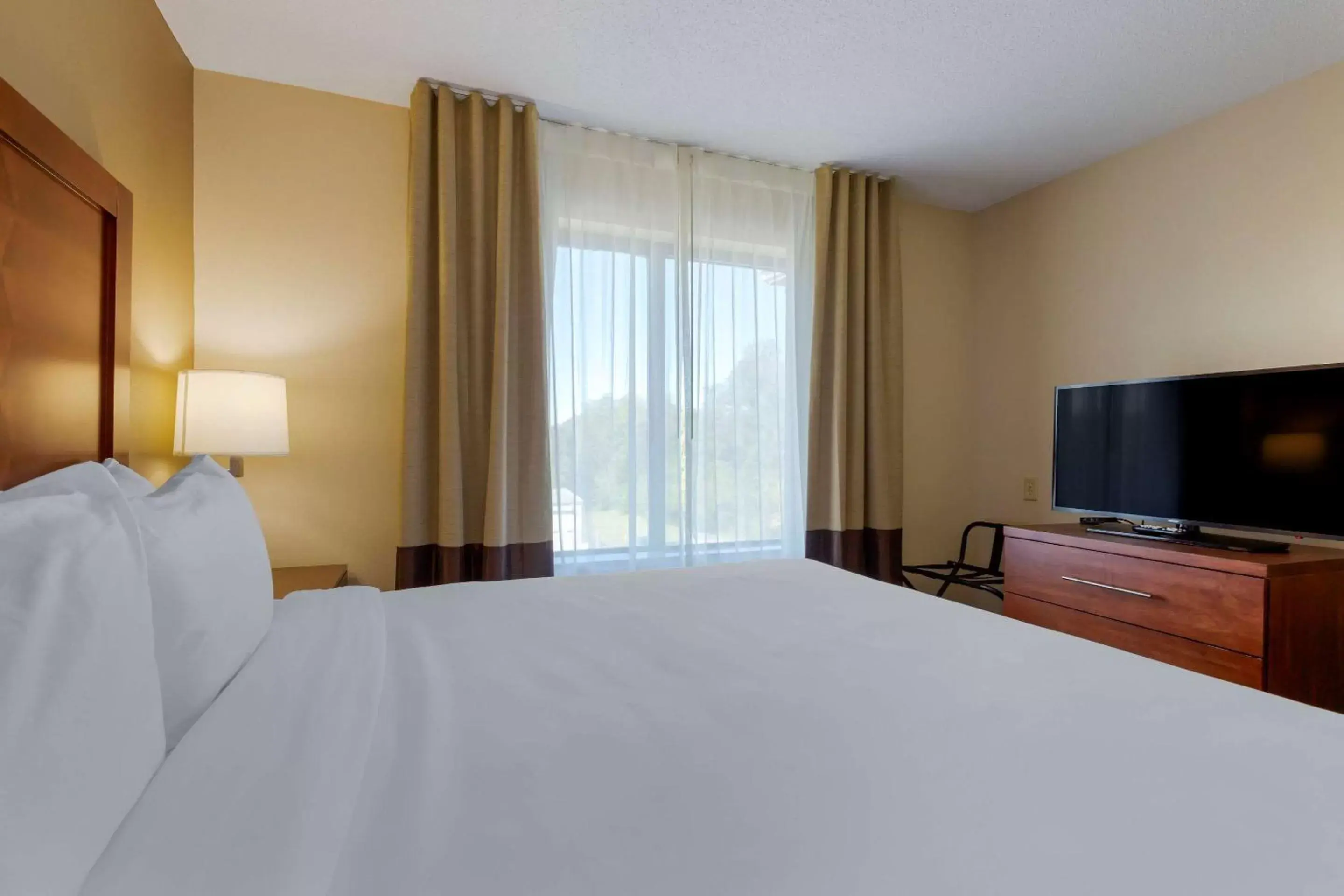 Bedroom, TV/Entertainment Center in Comfort Inn & Suites Cambridge