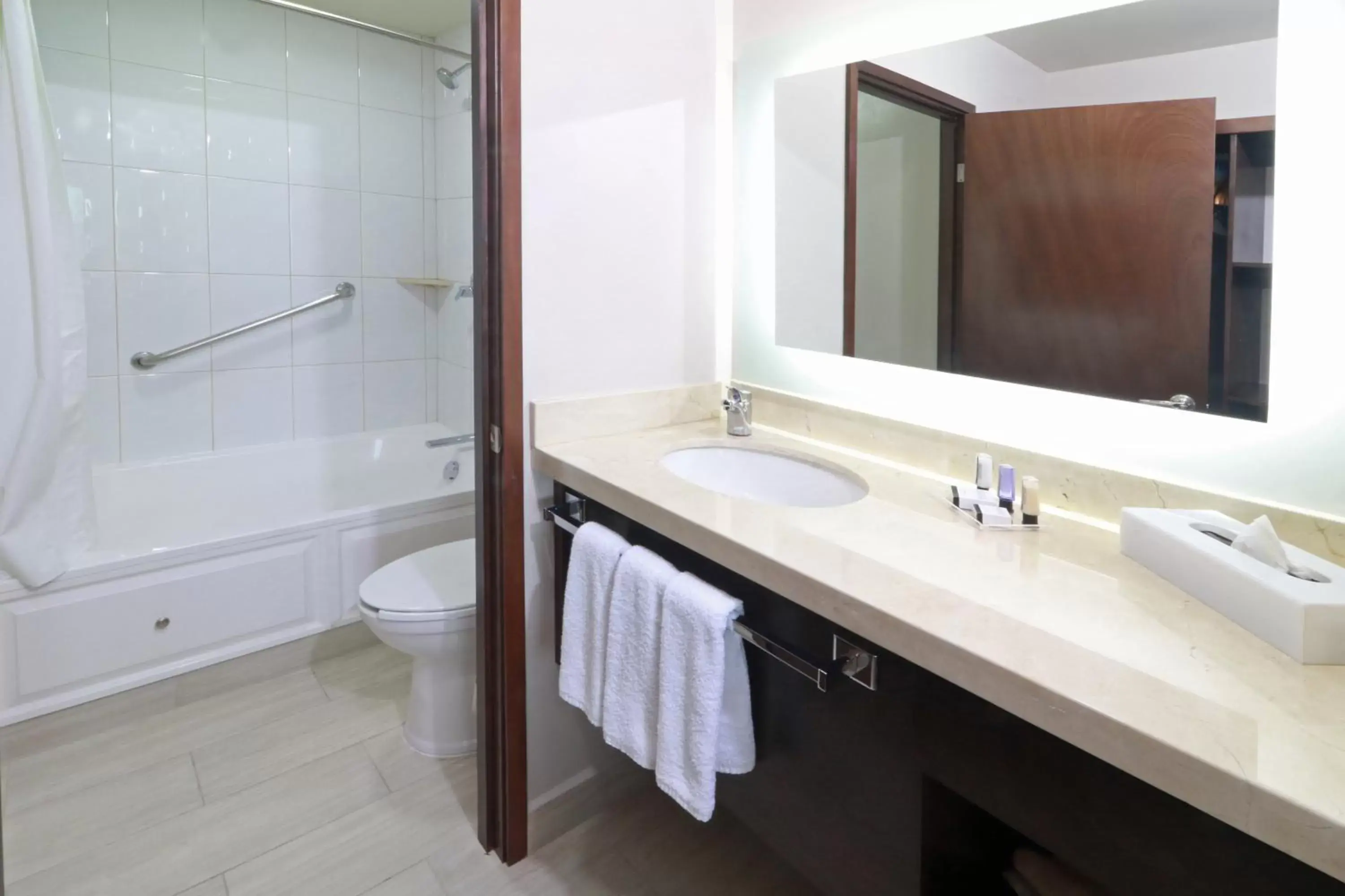 Bathroom in Staybridge Suites Queretaro, an IHG Hotel