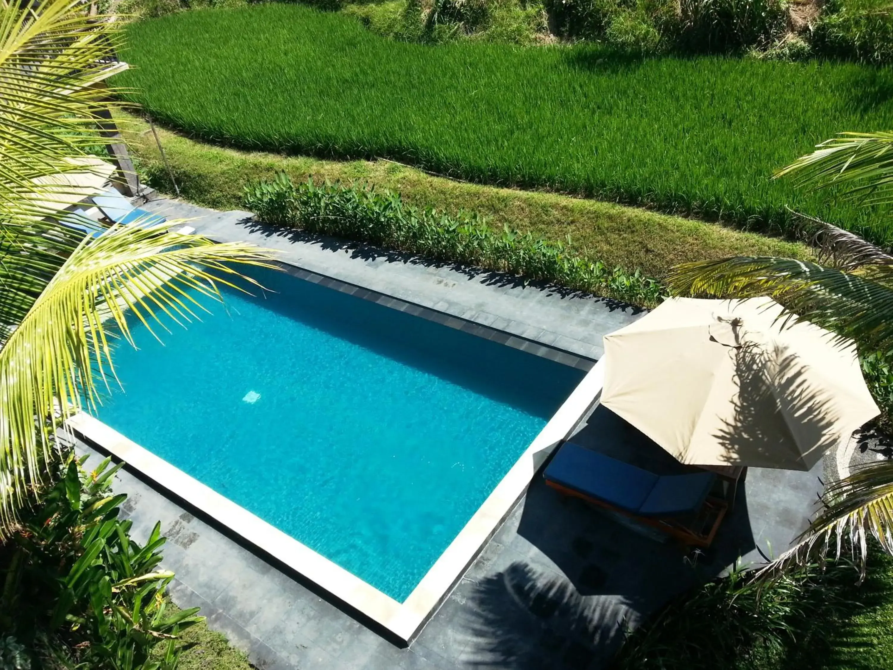 Swimming pool, Pool View in Biyukukung Suite & Spa