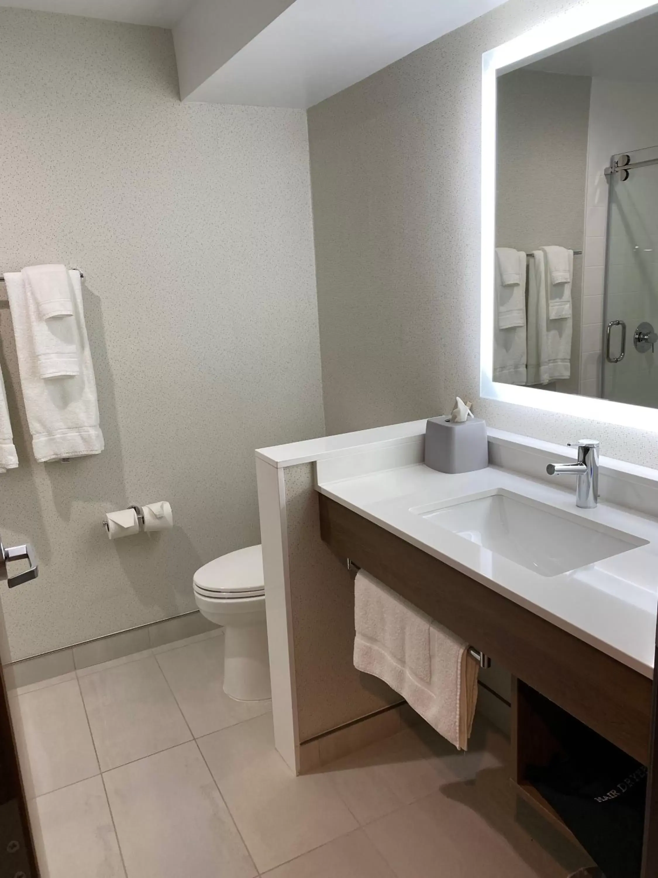 Toilet, Bathroom in Holiday Inn Express & Suites Chatsworth, an IHG Hotel