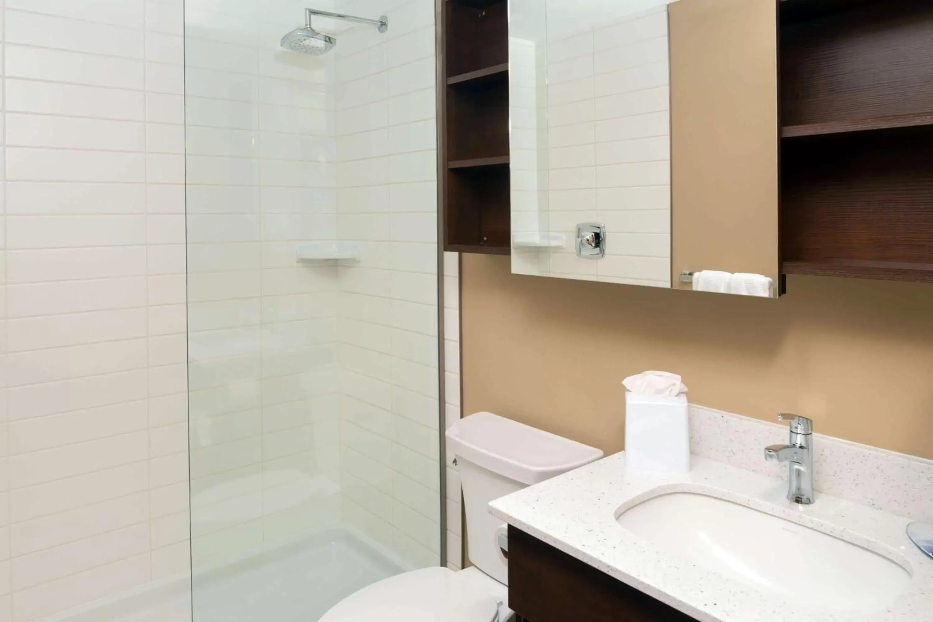 Bathroom in Microtel Inn & Suites by Wyndham Red Deer