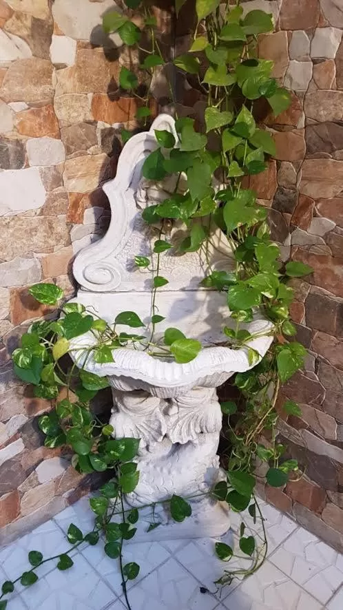 Patio in Hotel Sangiuliano 132 centro storico Catania