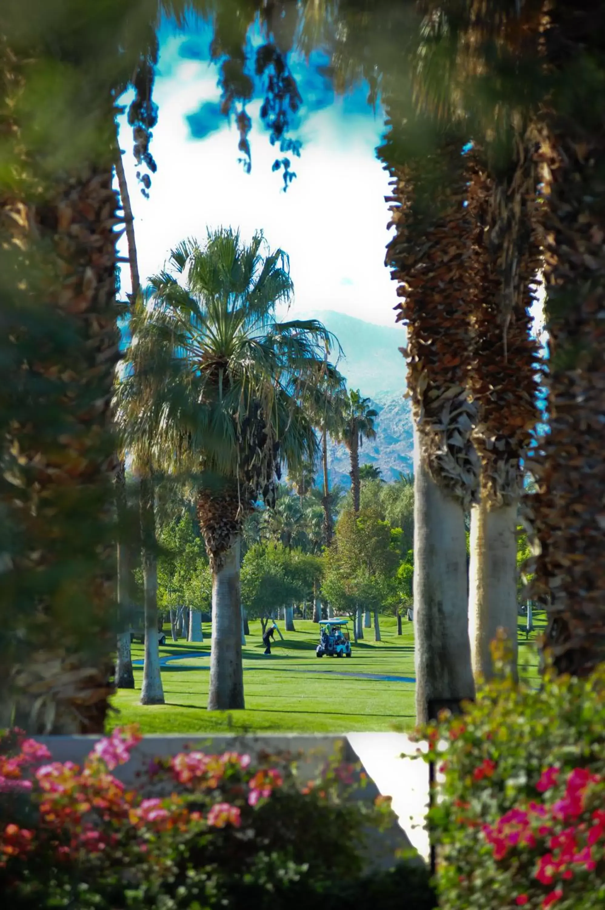 Golfcourse, Garden in Shadow Mountain Resort & Club