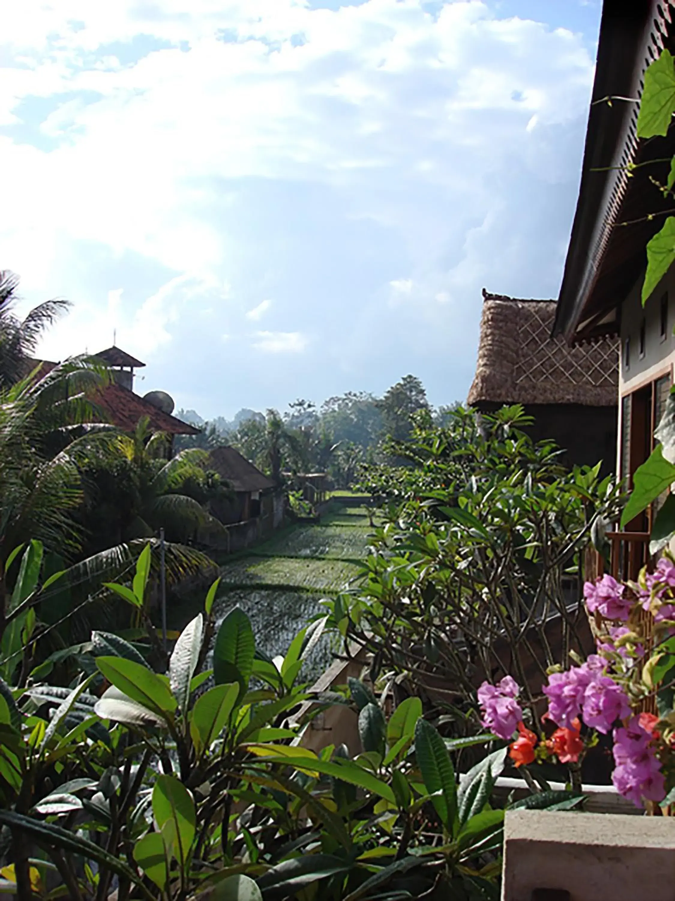 Garden view in Villa Puriartha Ubud - CHSE Certified