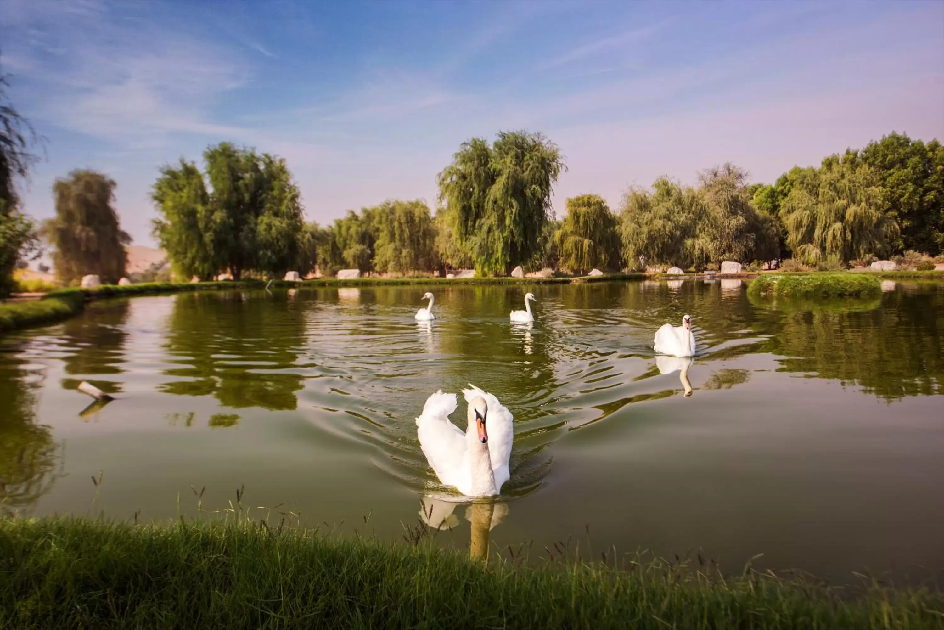 Fishing, Other Animals in Telal Resort Al Ain