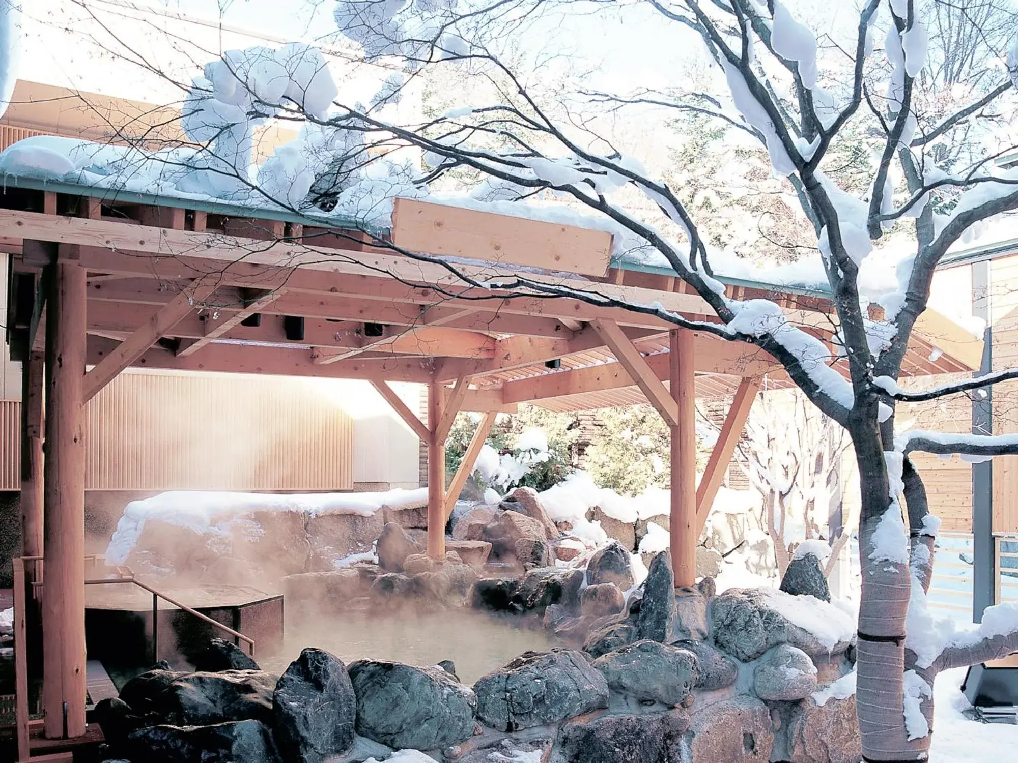 Hot Spring Bath in Hana Momiji