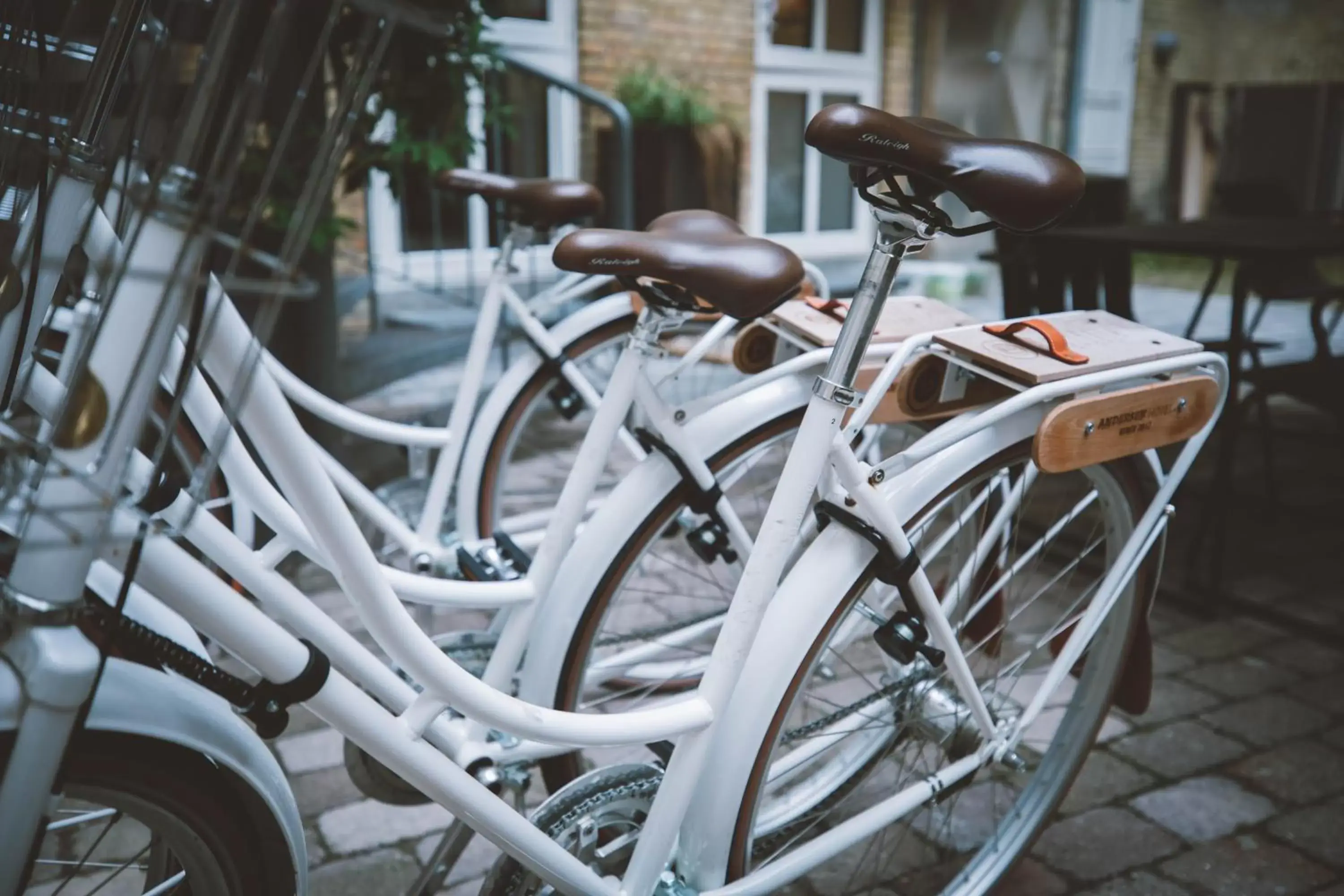 Cycling, Biking in Andersen Boutique Hotel