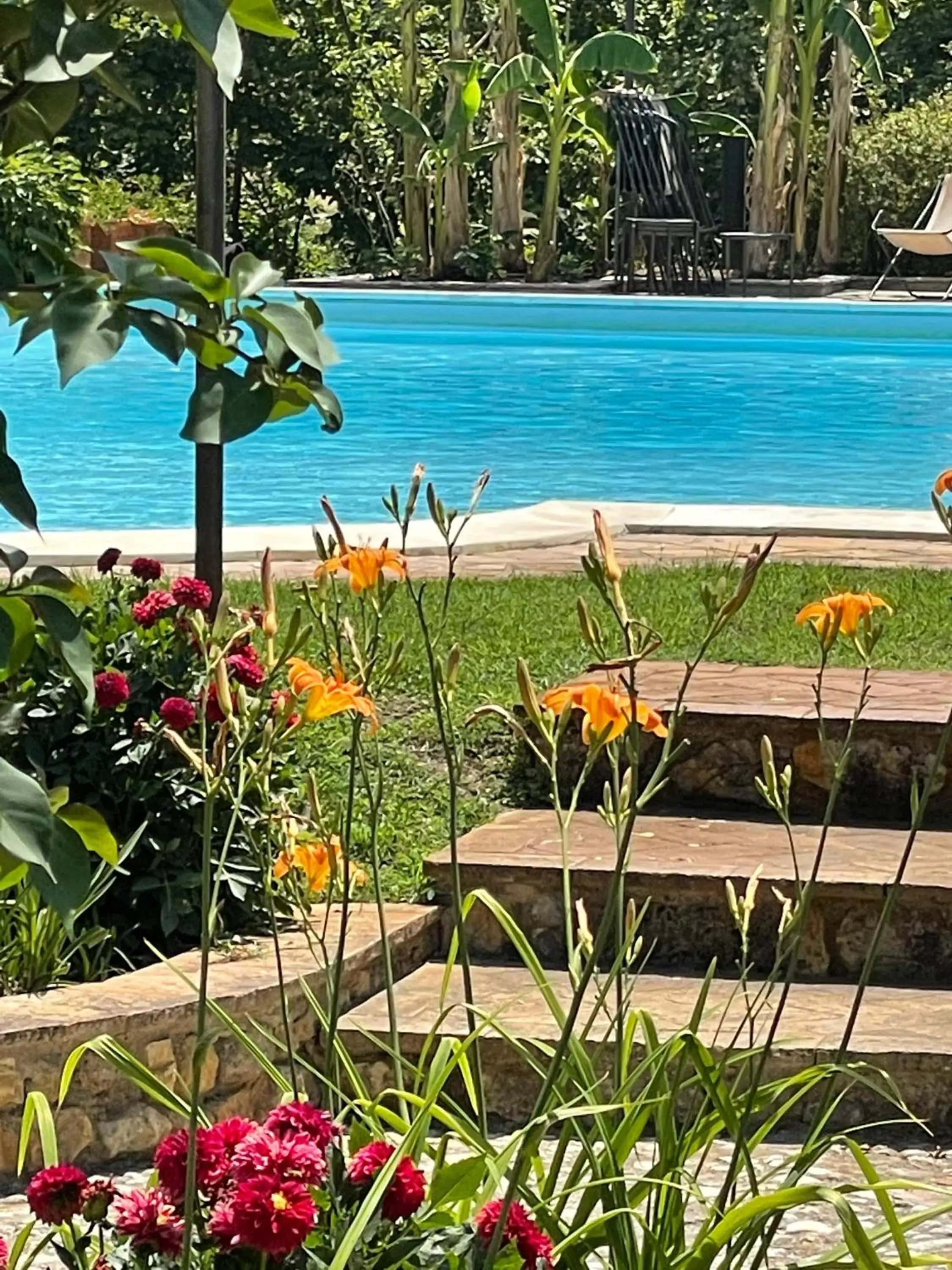 Swimming Pool in Borgo San Valentino