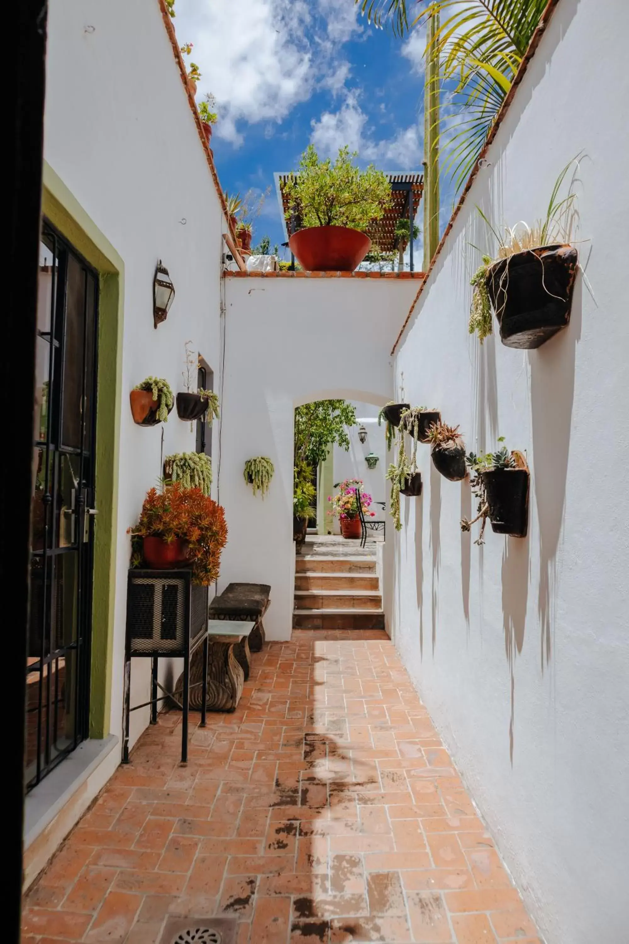 Patio in Casa Quetzal