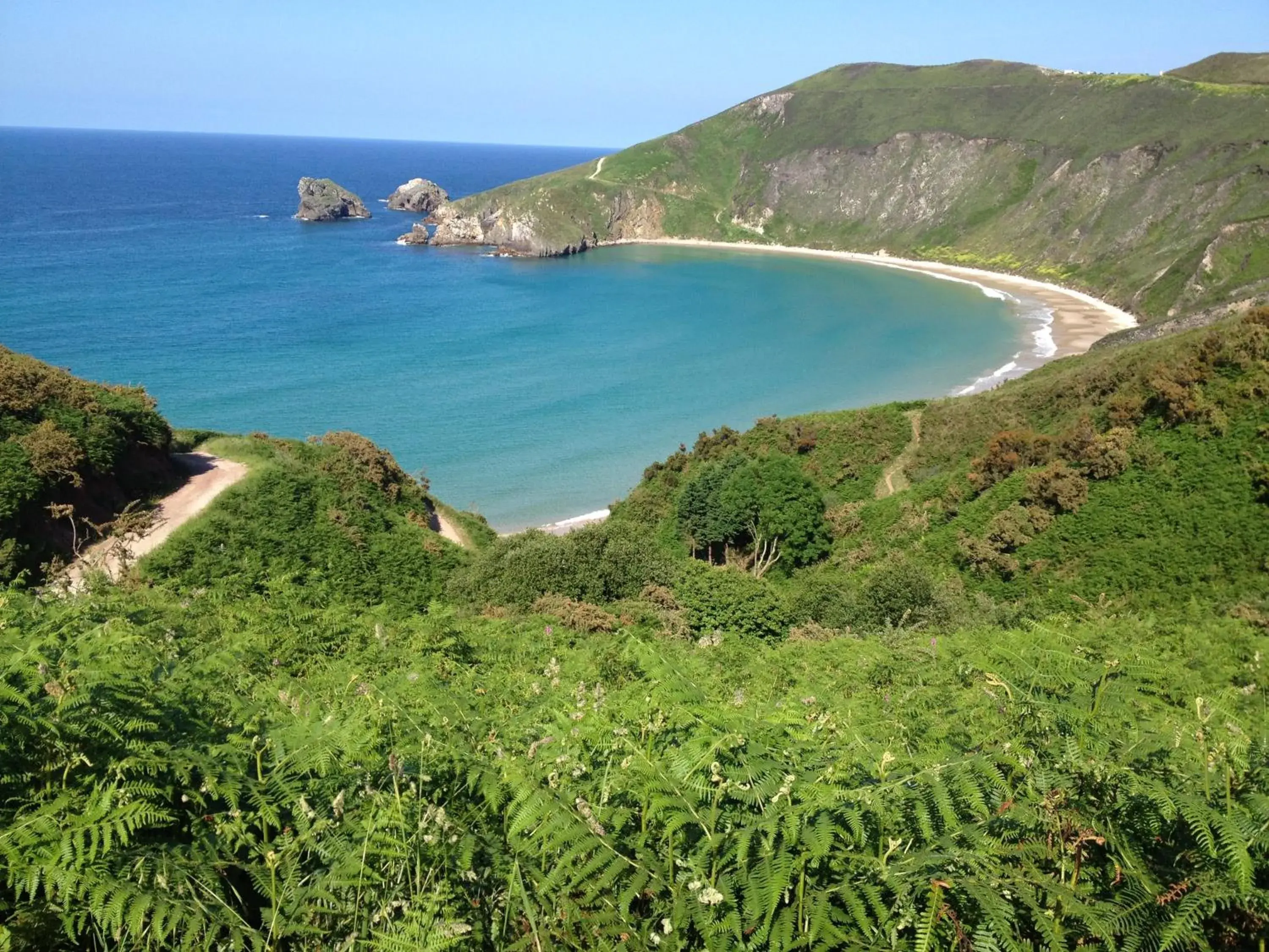 Area and facilities in Las Rocas