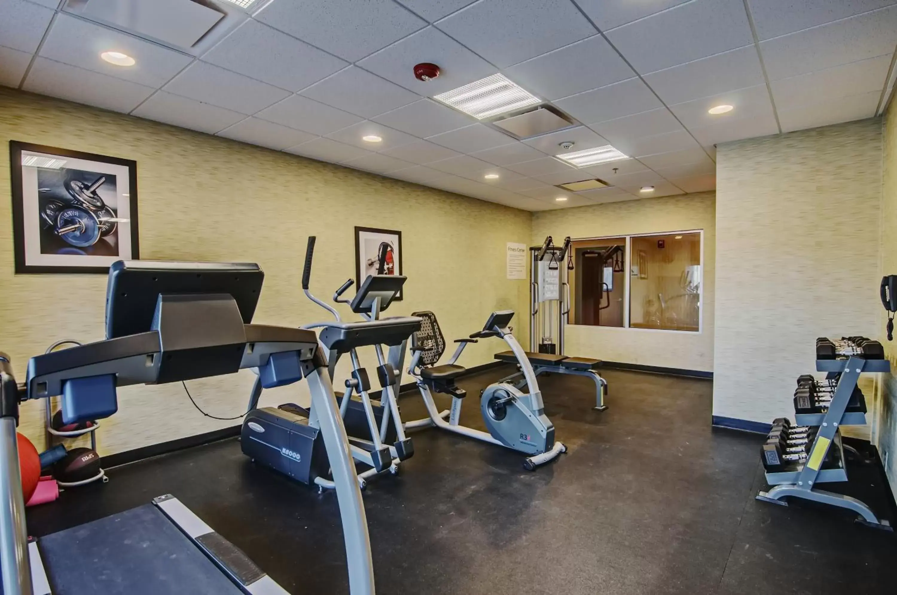 Fitness centre/facilities, Fitness Center/Facilities in Holiday Inn Express & Suites Wytheville, an IHG Hotel