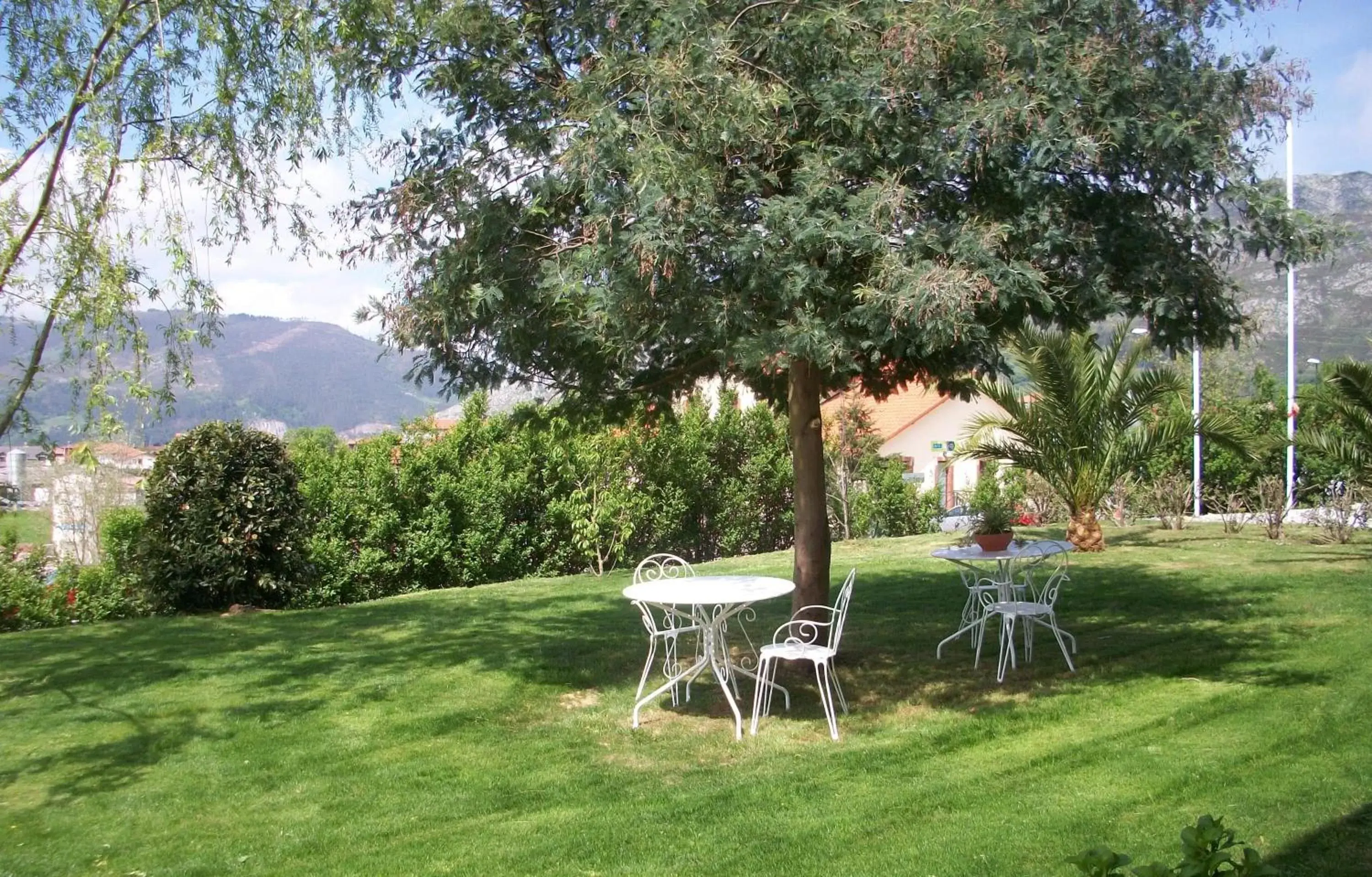 Garden in Palacio Garcia Quijano