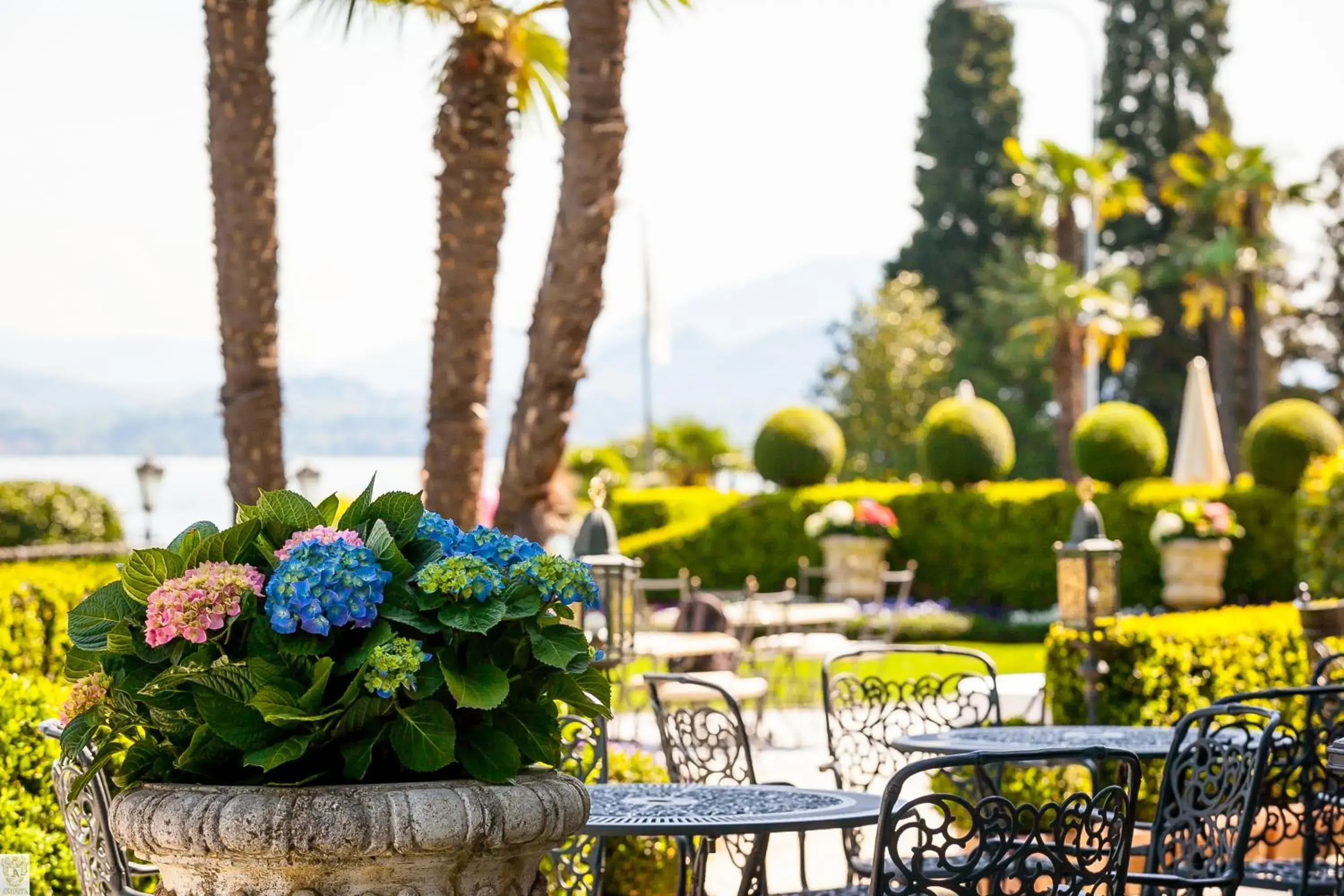 Garden in Hotel Villa E Palazzo Aminta