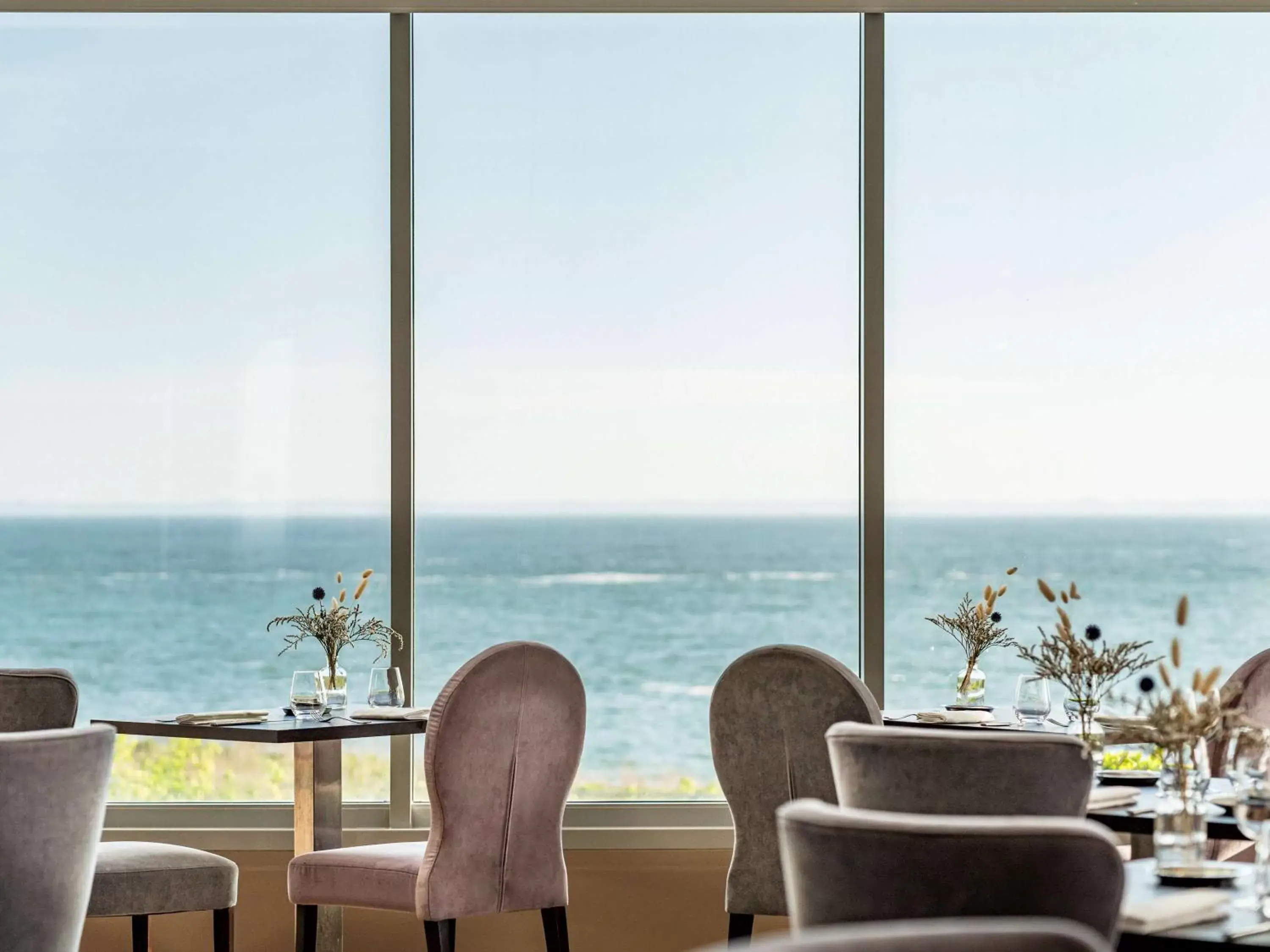 Restaurant/places to eat in Sofitel Quiberon Thalassa sea & spa