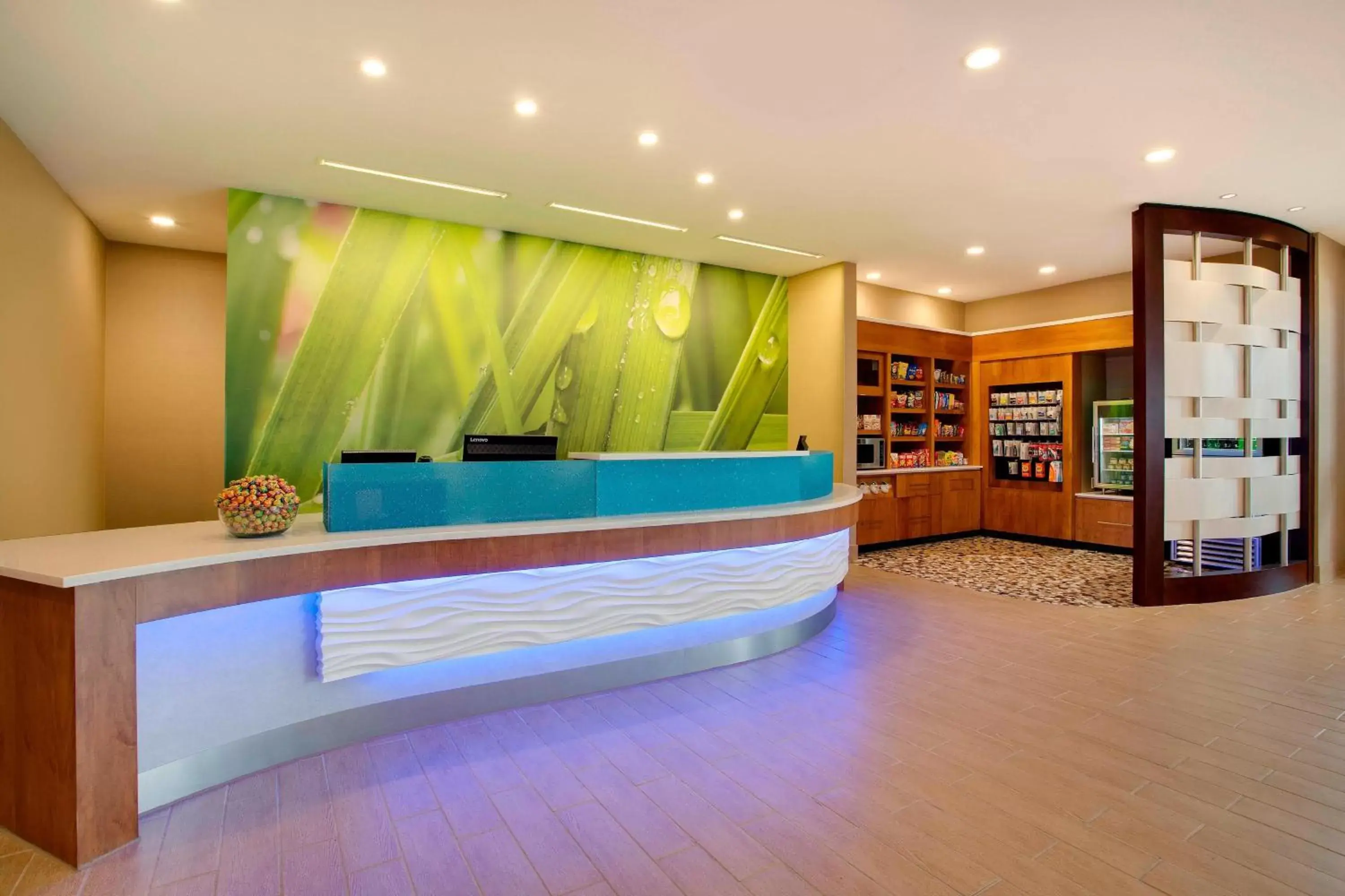 Lobby or reception, Lobby/Reception in SpringHill Suites by Marriott Murray