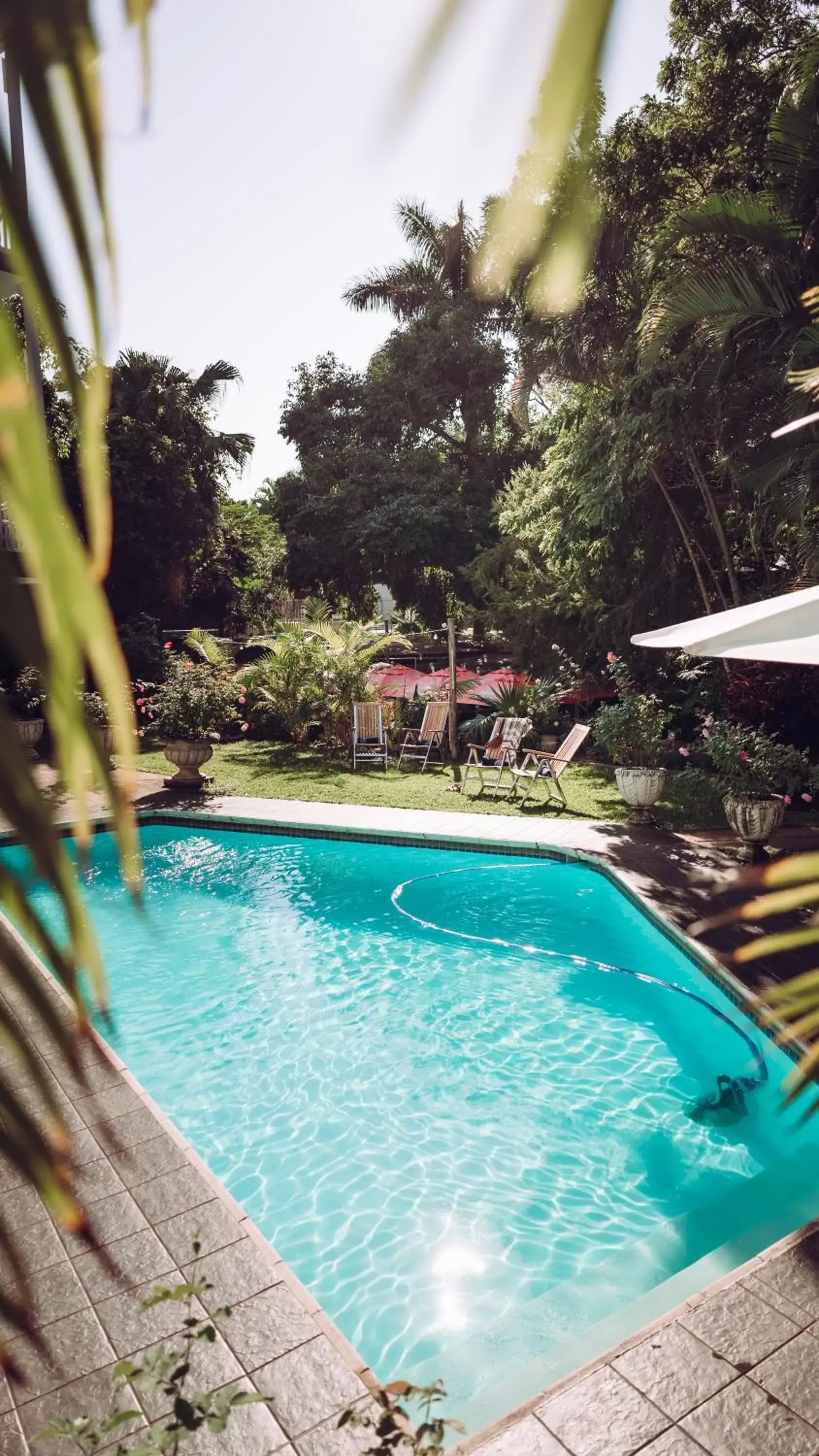 Swimming Pool in Beside Still Waters Boutique Hotel