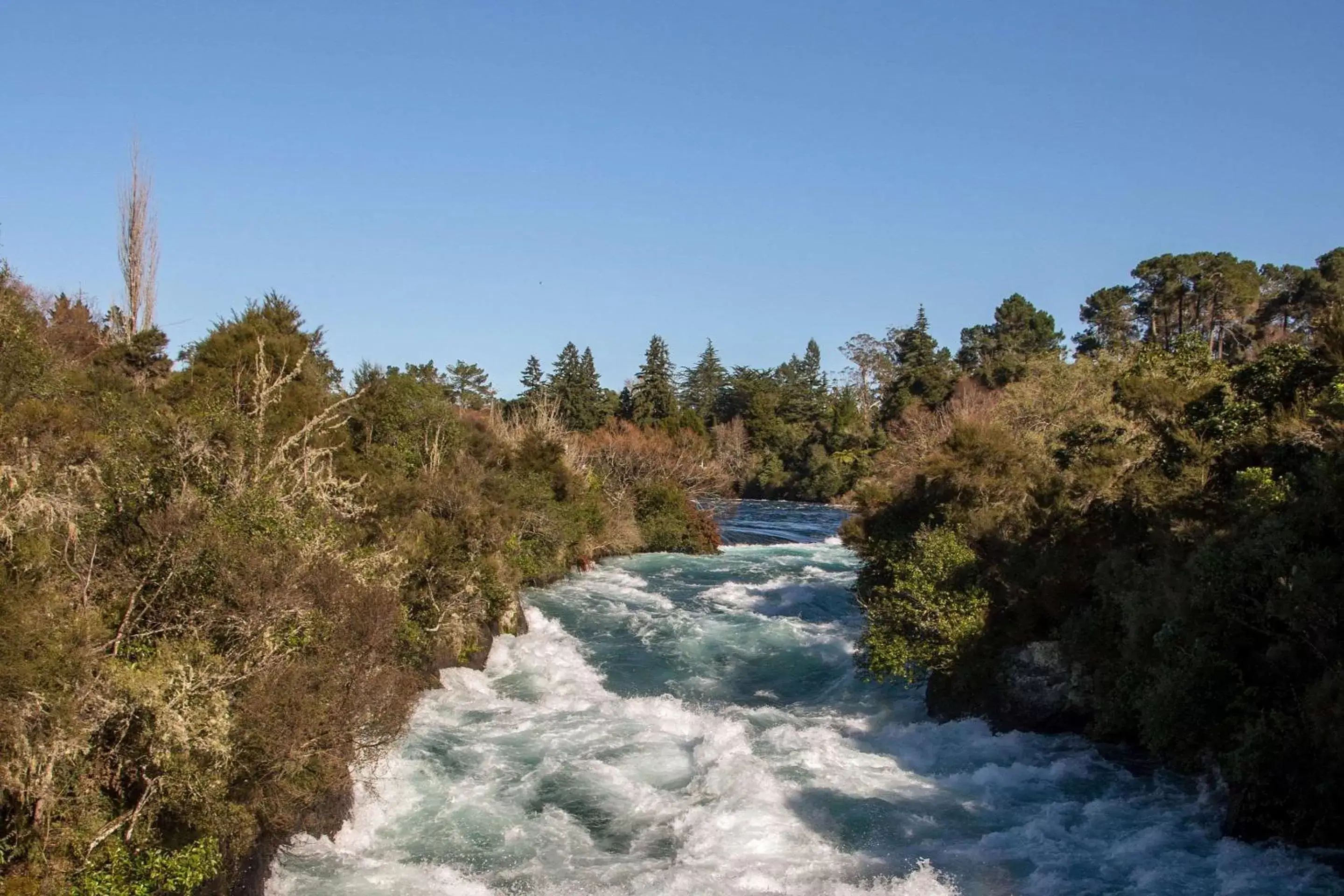 Other in Quality Suites Huka Falls