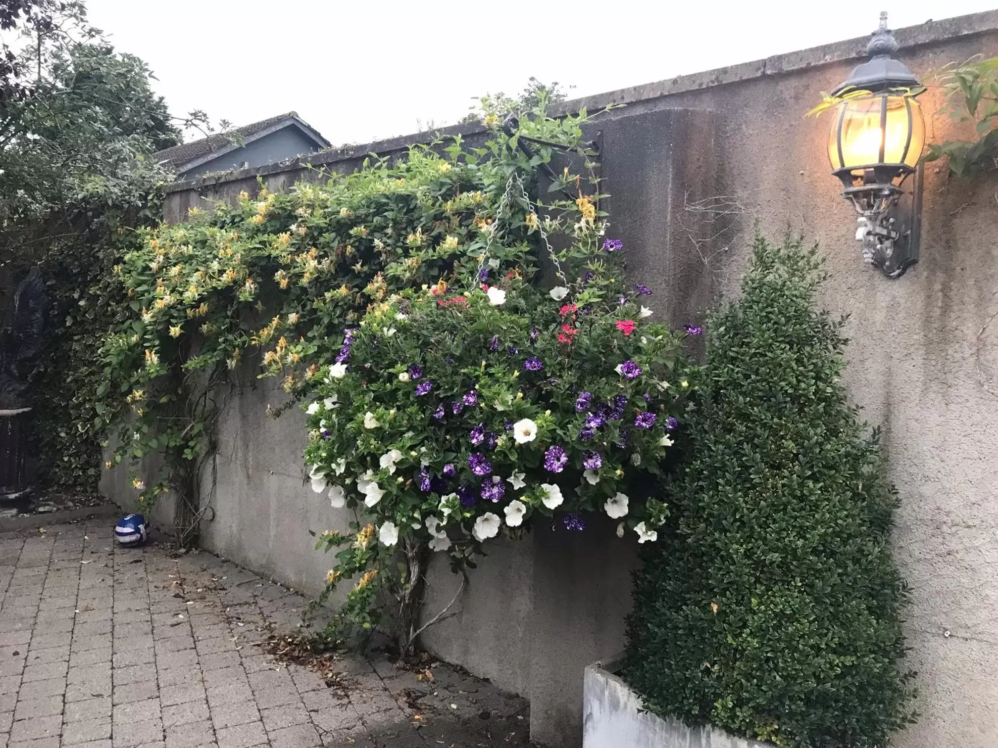 Property Building in Avlon House Bed and Breakfast