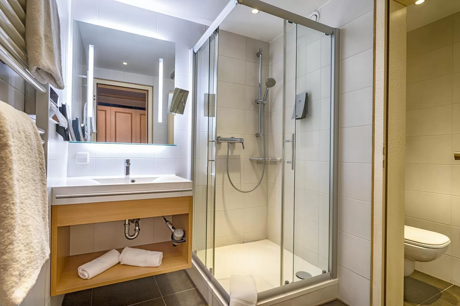 Toilet in Ringhotel Mönch`s Waldhotel