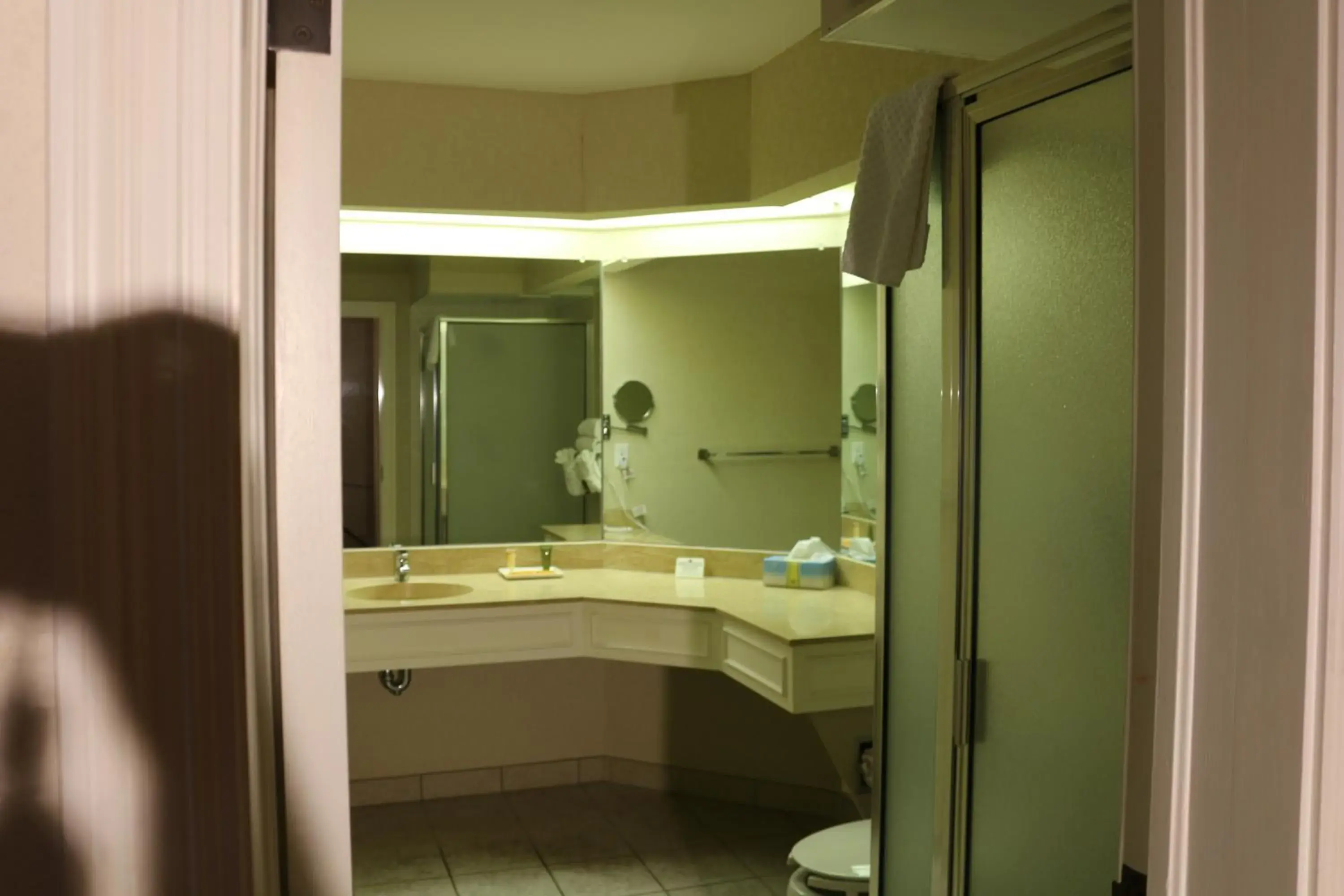 Bathroom in Imperial Swan Hotel and Suites Lakeland