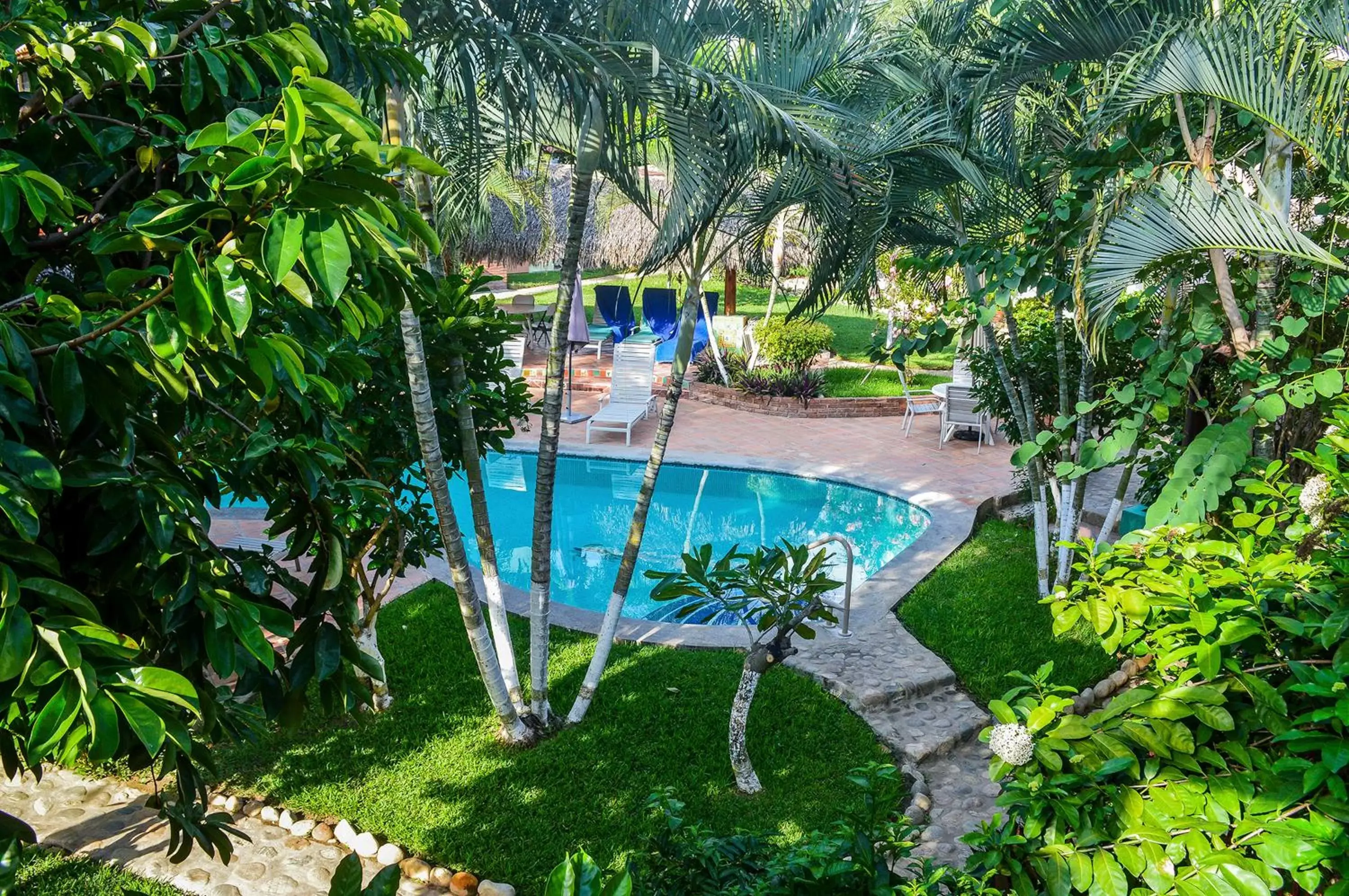 Garden view, Swimming Pool in Hotel Casamar Suites