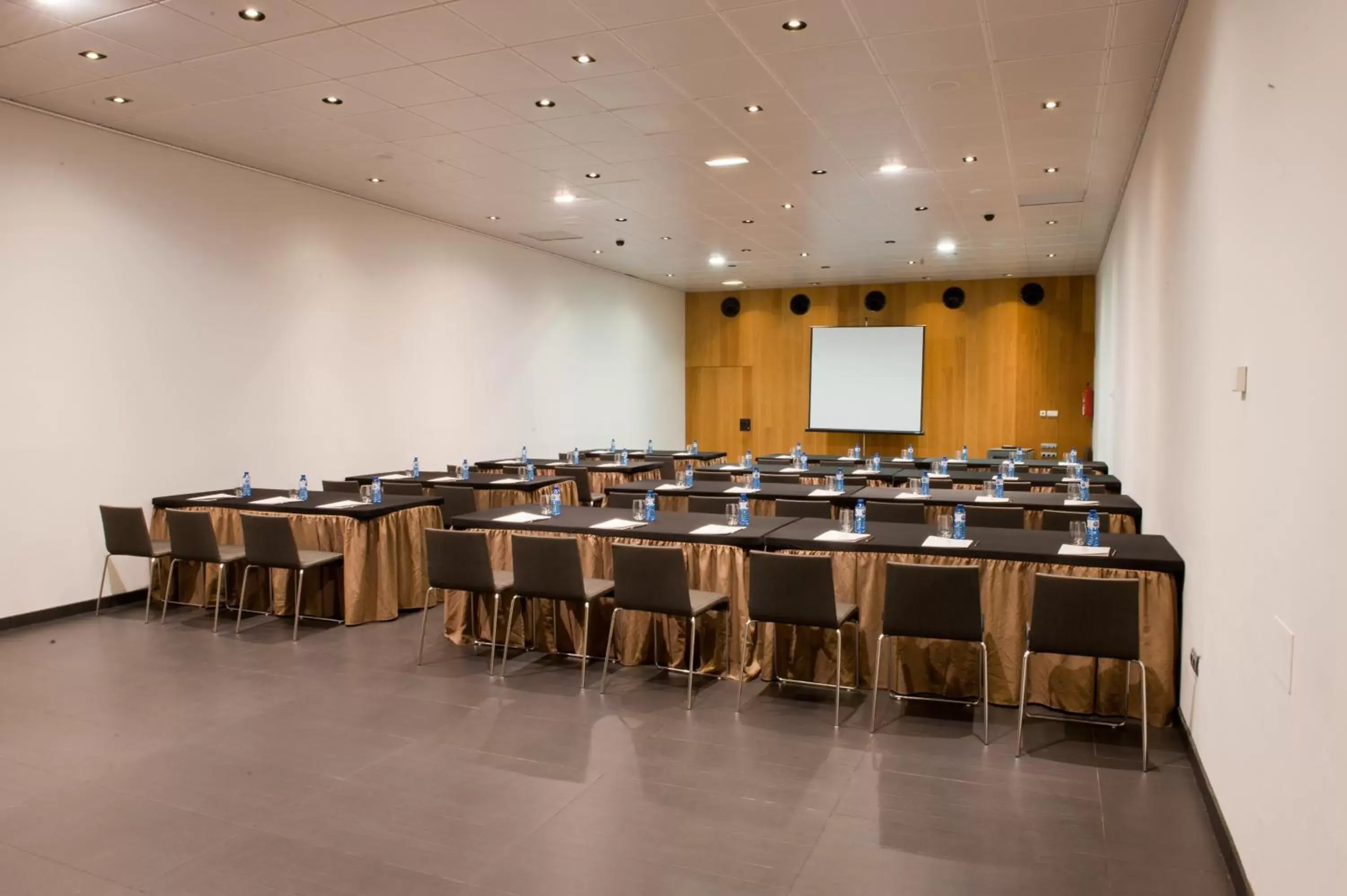 Business facilities in Hotel Blu Puerta de Almansa