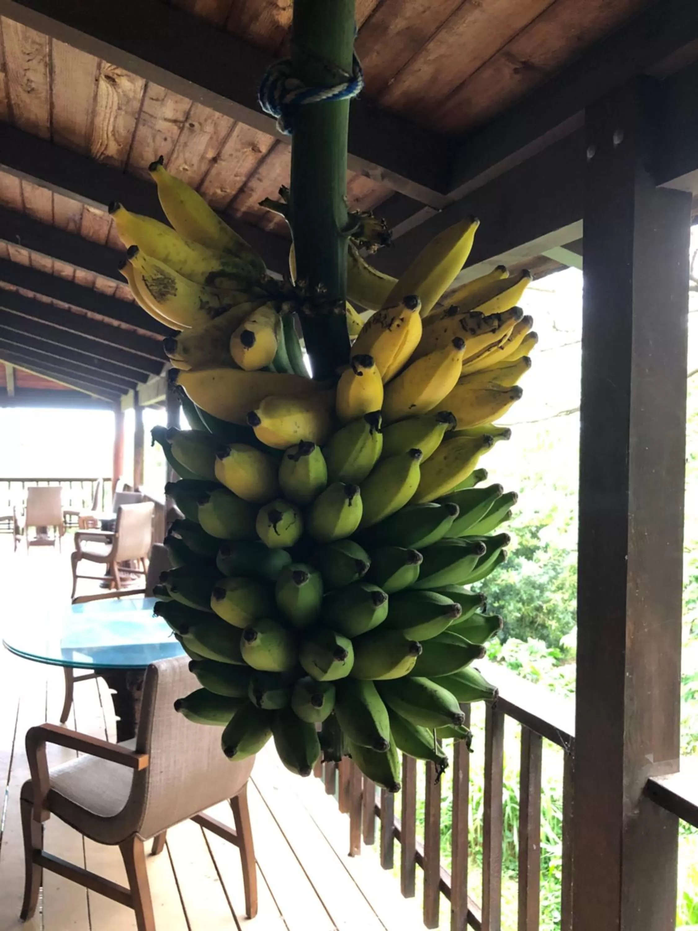 Hawaii Island Resort