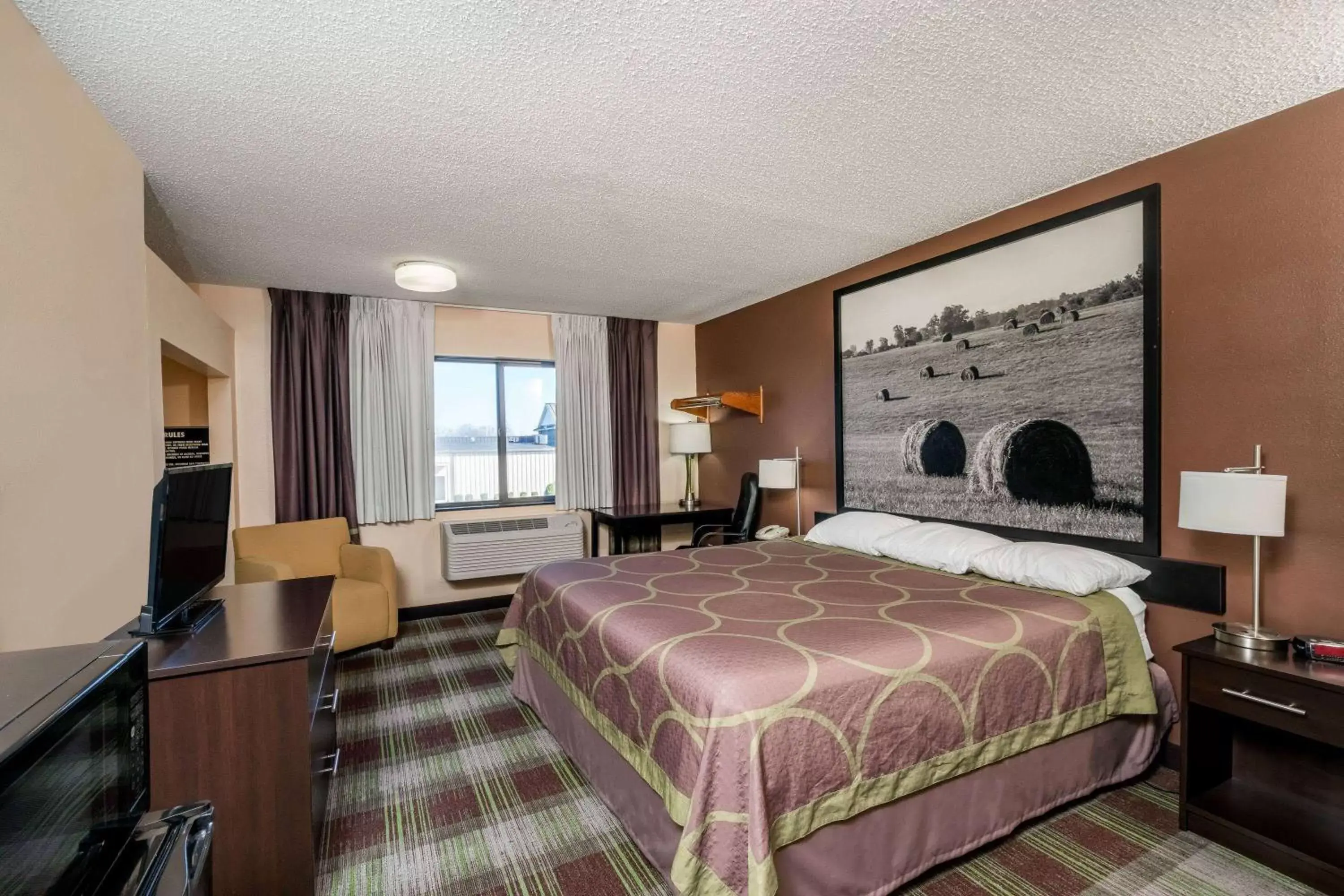 Photo of the whole room, Bed in Super 8 by Wyndham Campbellsville KY Photo of the whole room, Bed in Super 8 by Wyndham Campbellsville KY