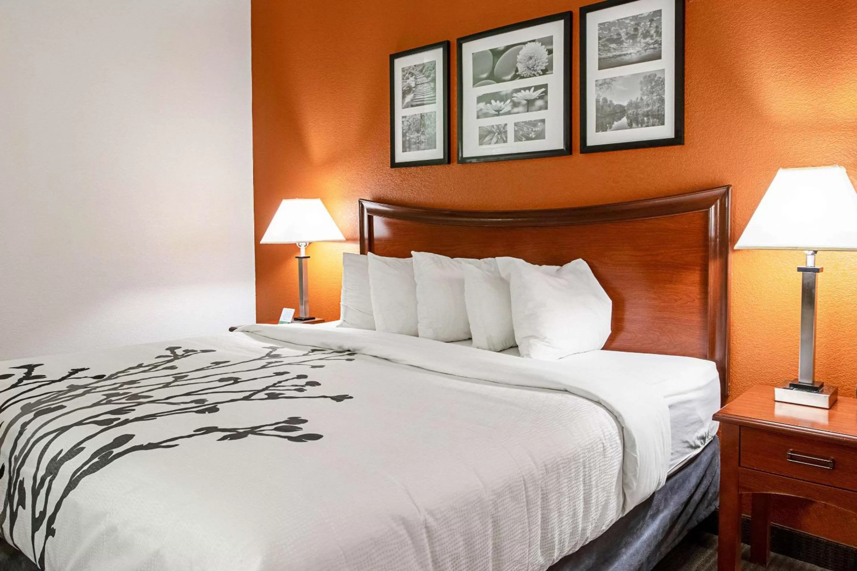 Photo of the whole room, Bed in Sleep Inn & Suites Hobbs