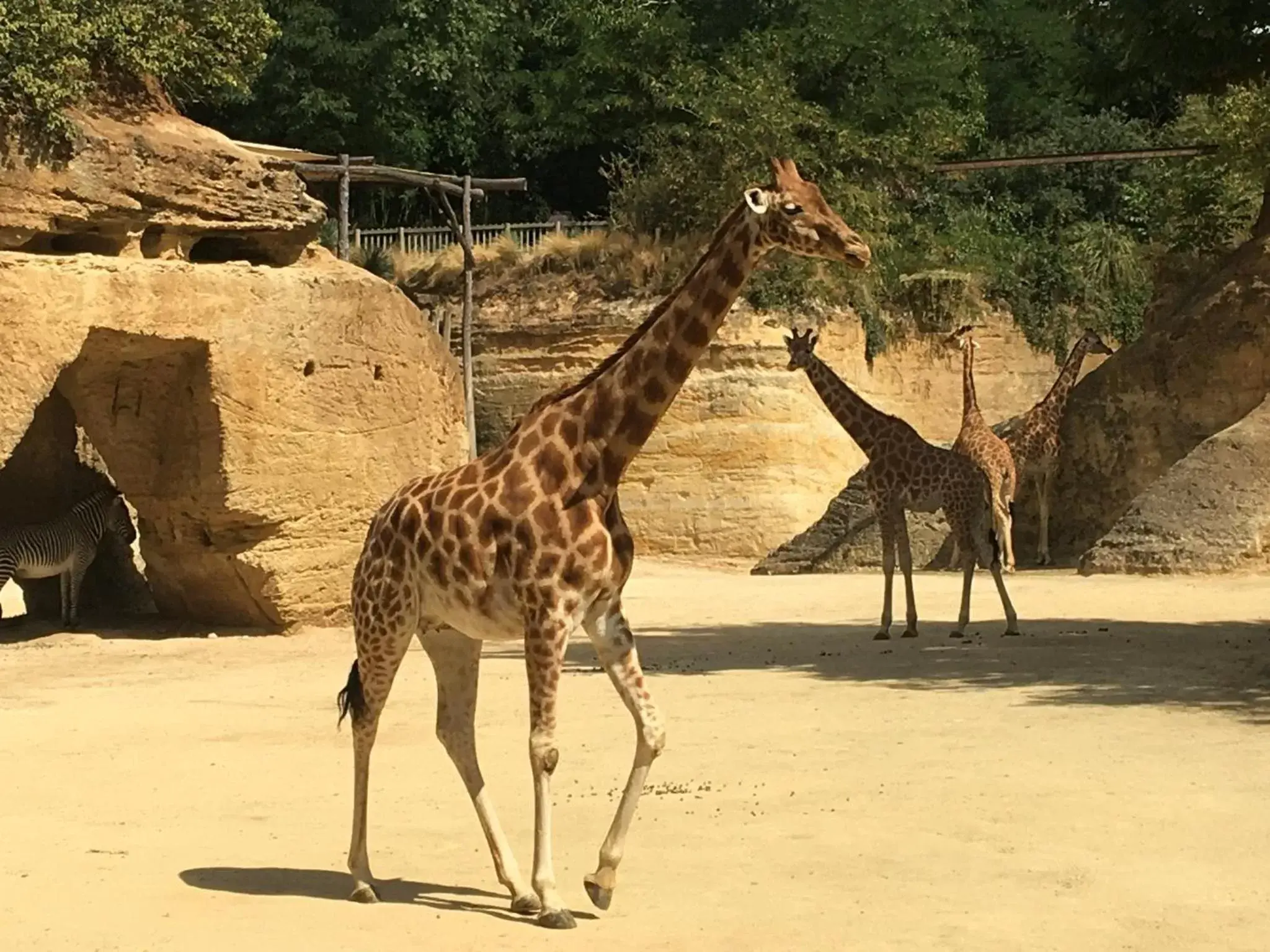 Nearby landmark, Other Animals in « Chez Annie »