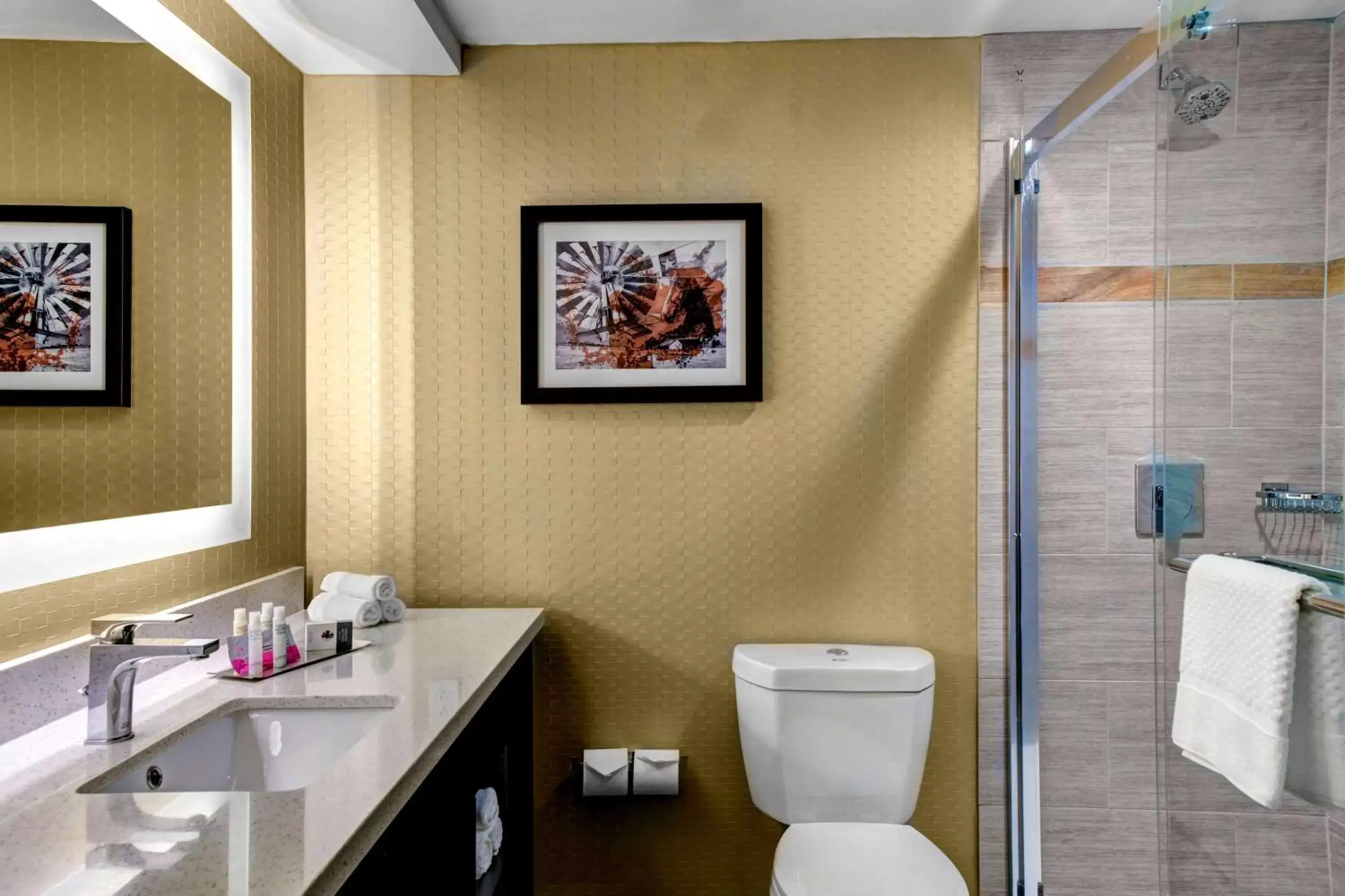 Bathroom in Doubletree by Hilton Arlington DFW South