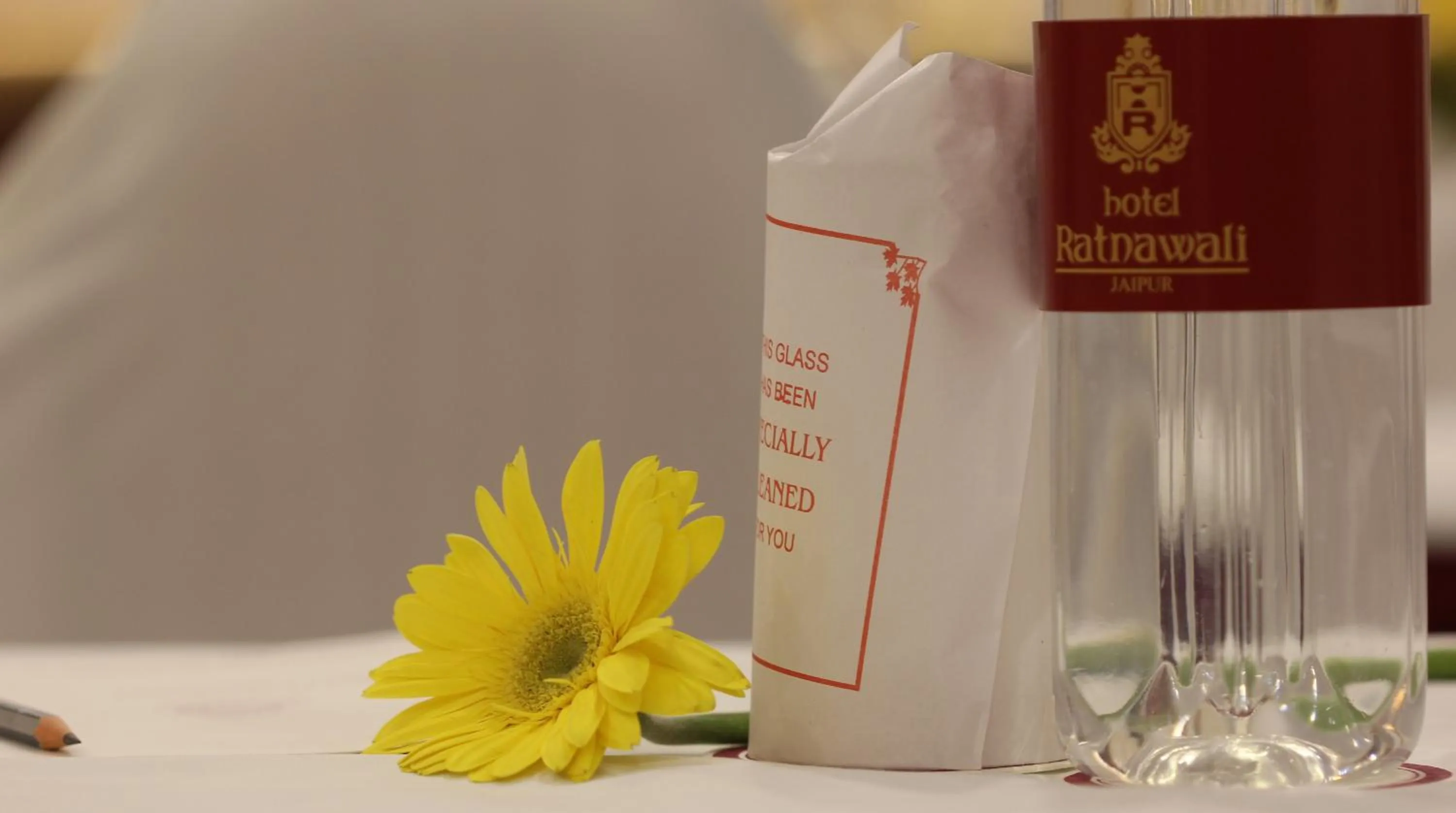 Other in Ratnawali – A Vegetarian Heritage Hotel