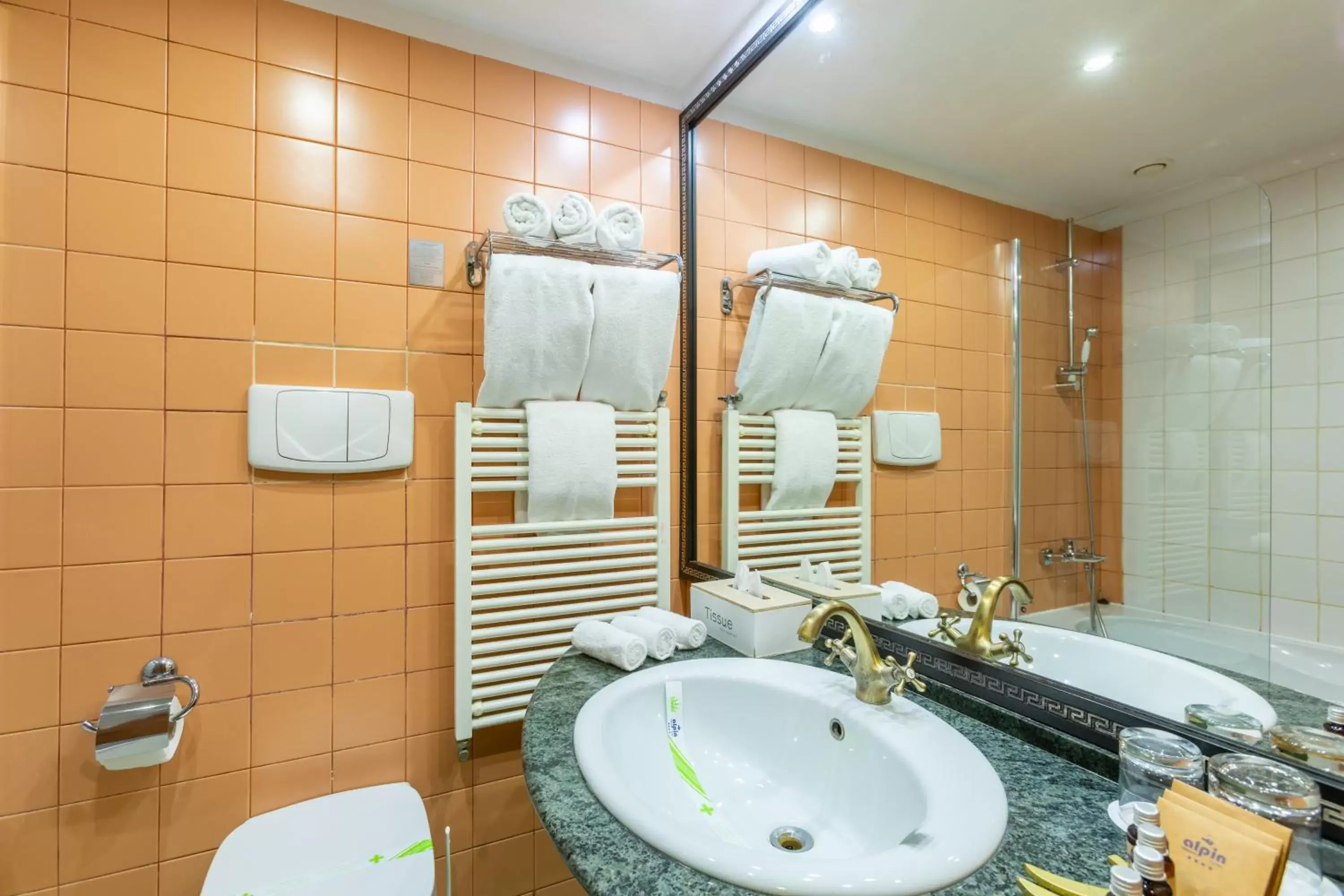 Toilet, Bathroom in Alpin Resort Hotel